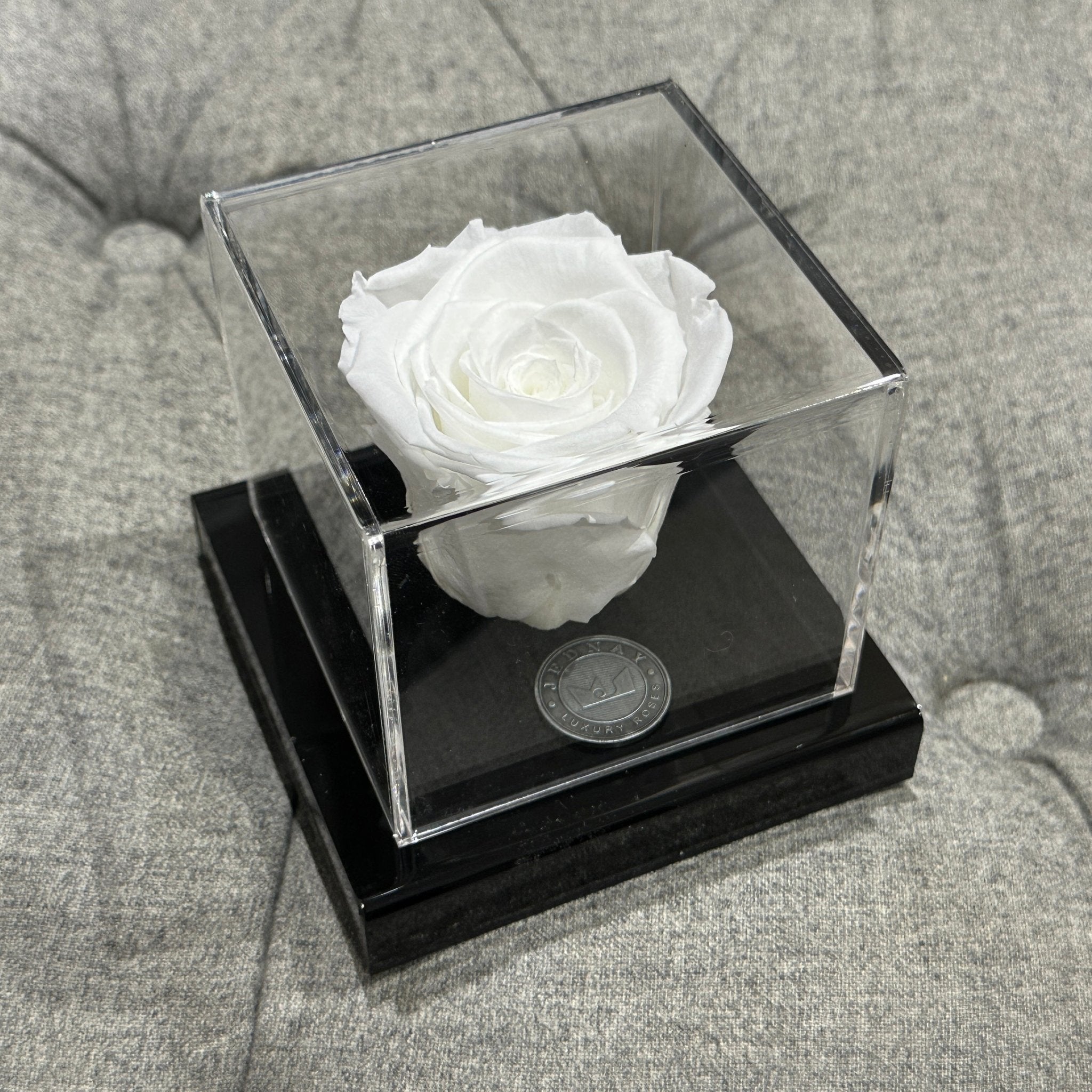 The Clarity Deluxe - Angel White Eternal Rose - Jednay Roses