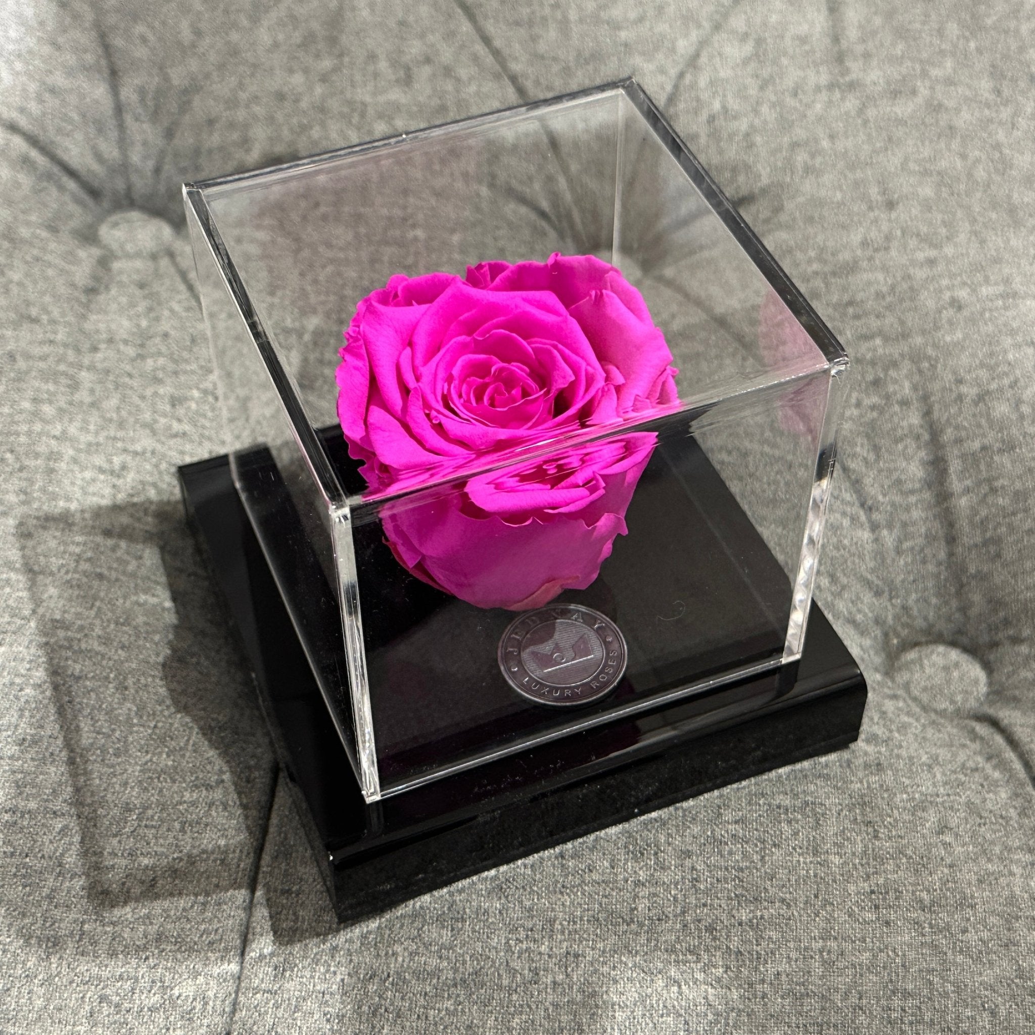The Clarity Deluxe | Bubblegum Eternal Rose - Jednay Roses