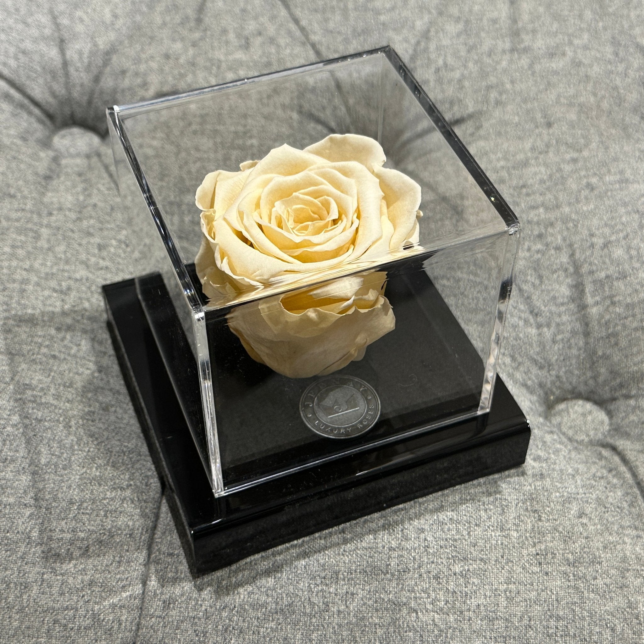 The Clarity Deluxe | Champagne Eternal Rose - Jednay Roses