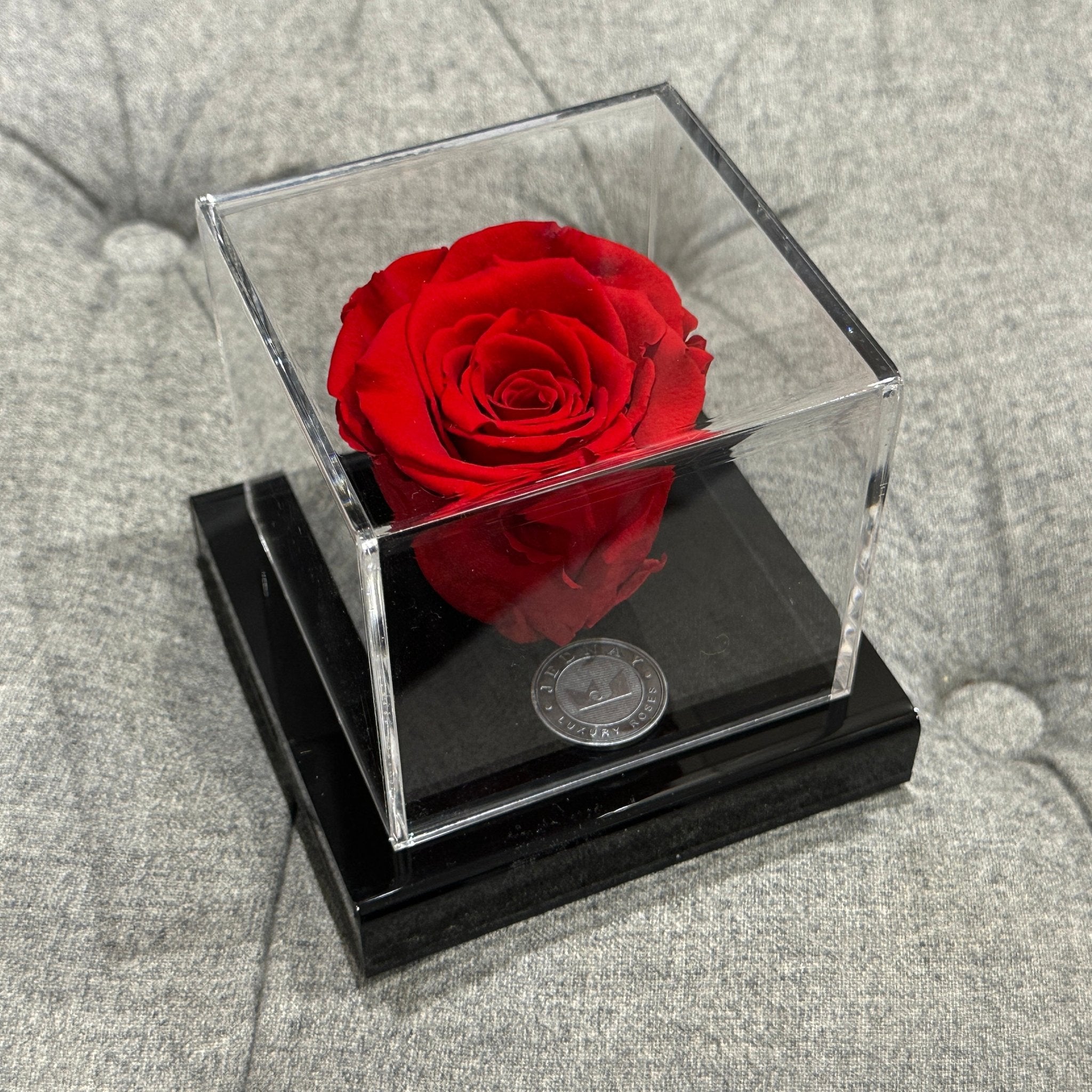 The Clarity Deluxe - Classic Red Eternal Rose - Jednay Roses