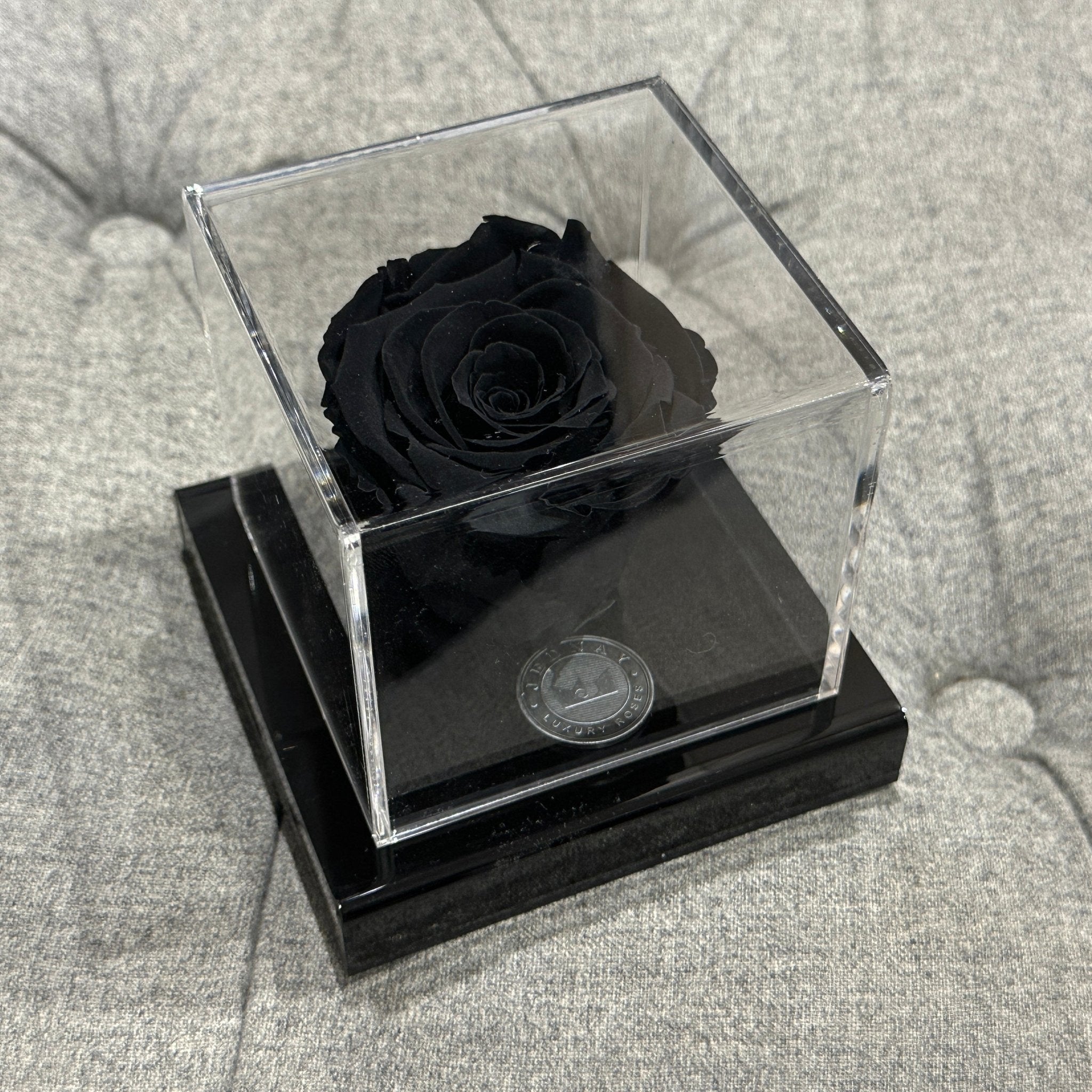 The Clarity Deluxe | Midnight Black Eternal Rose - Jednay Roses