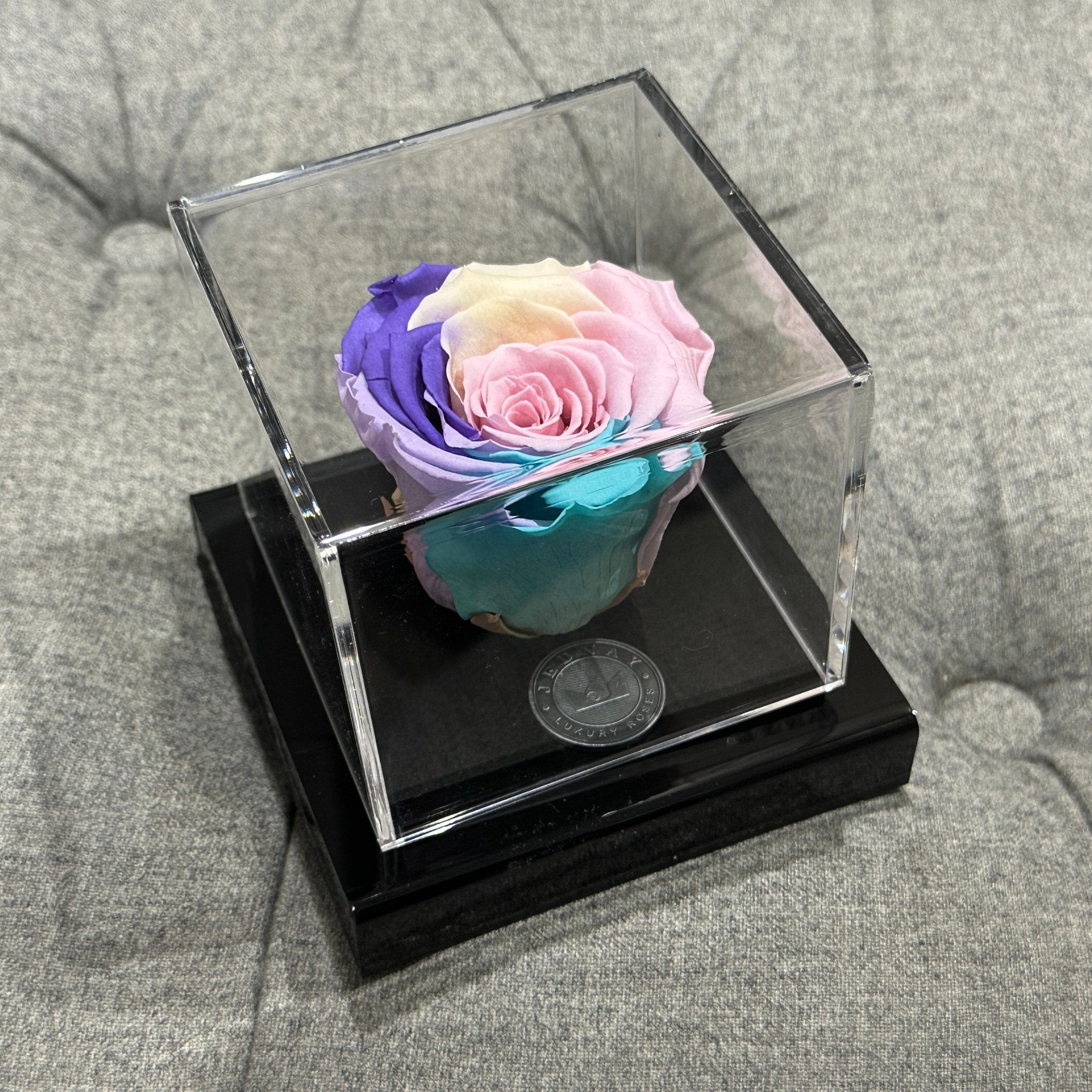 The Clarity Deluxe | Over The Rainbow Eternal Rose - Jednay Roses