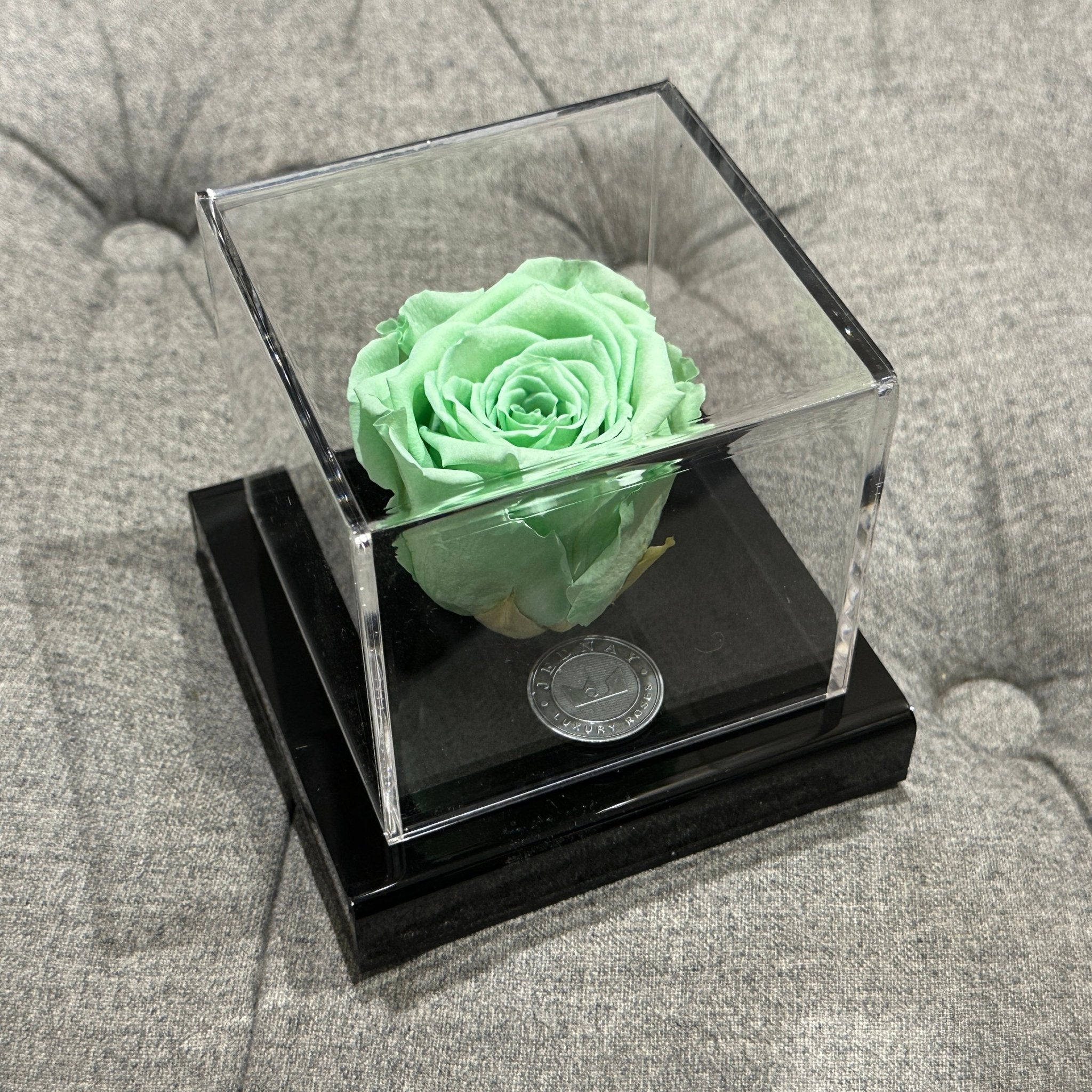 The Clarity Deluxe | Peppermint Tea Eternal Rose - Jednay Roses