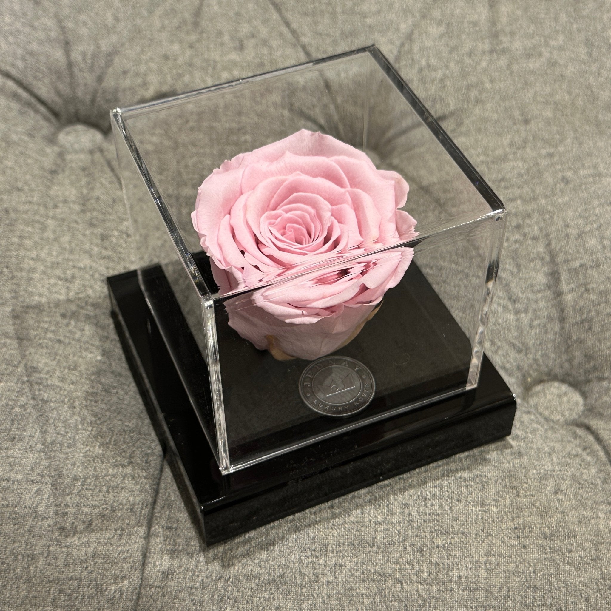 The Clarity Deluxe | Soft Pink Eternal Rose - Jednay Roses