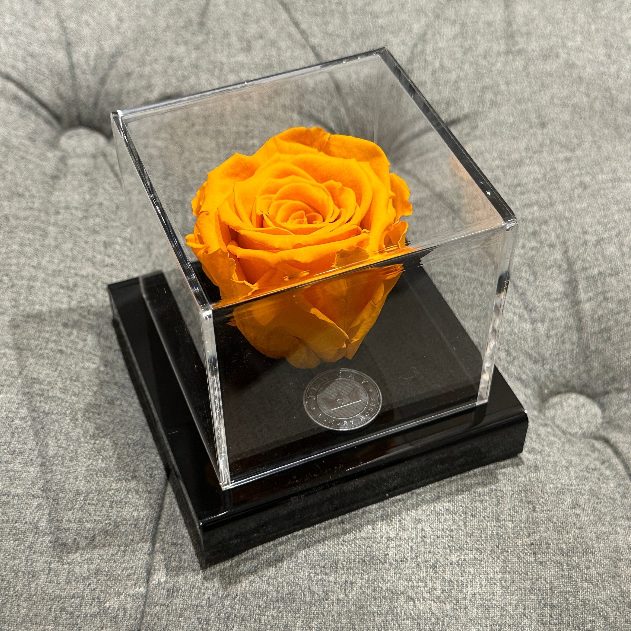 The Clarity Deluxe | Sunset Orange Eternal Rose - Jednay Roses