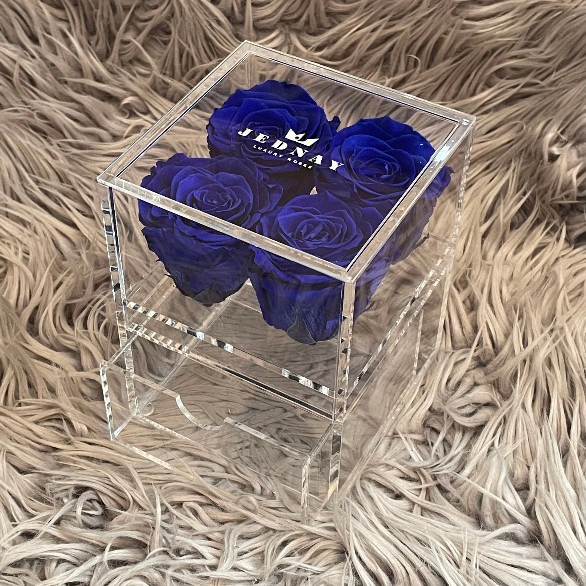 The Vanity Four - 4 Eternal Roses - Jednay Roses