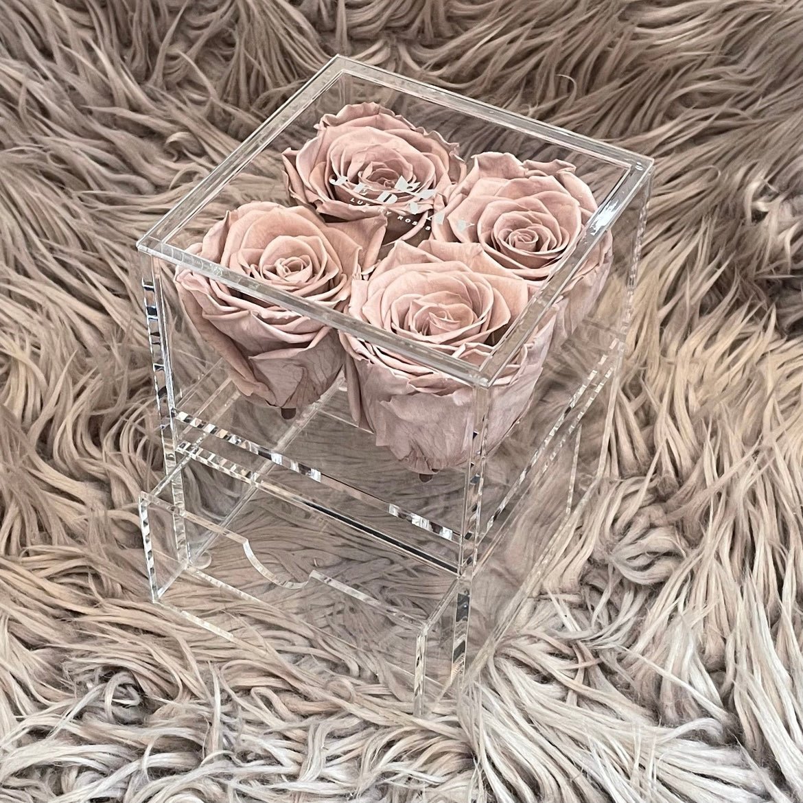 The Vanity Four - 4 Eternal Roses - Jednay Roses