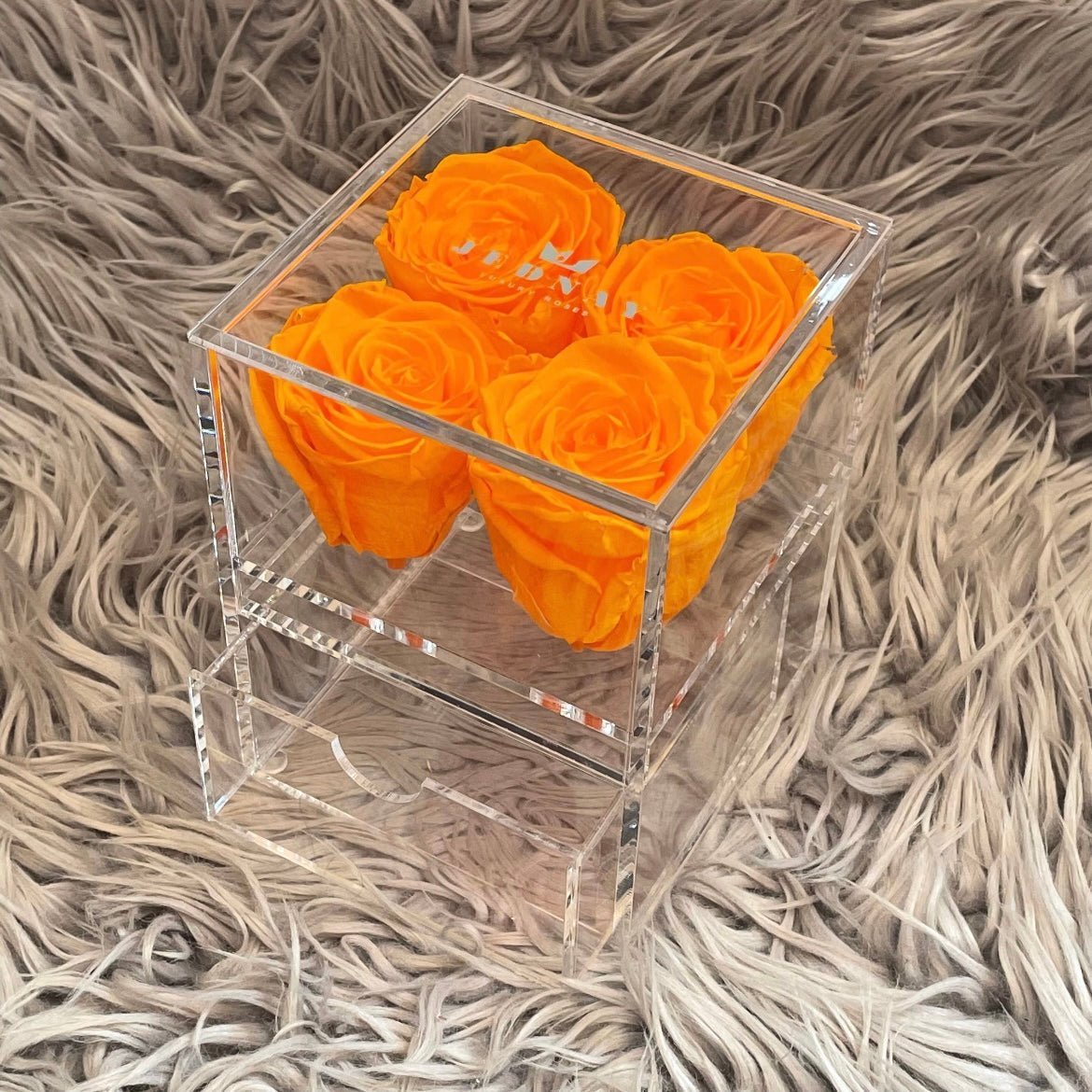 The Vanity Four - 4 Eternal Roses - Jednay Roses