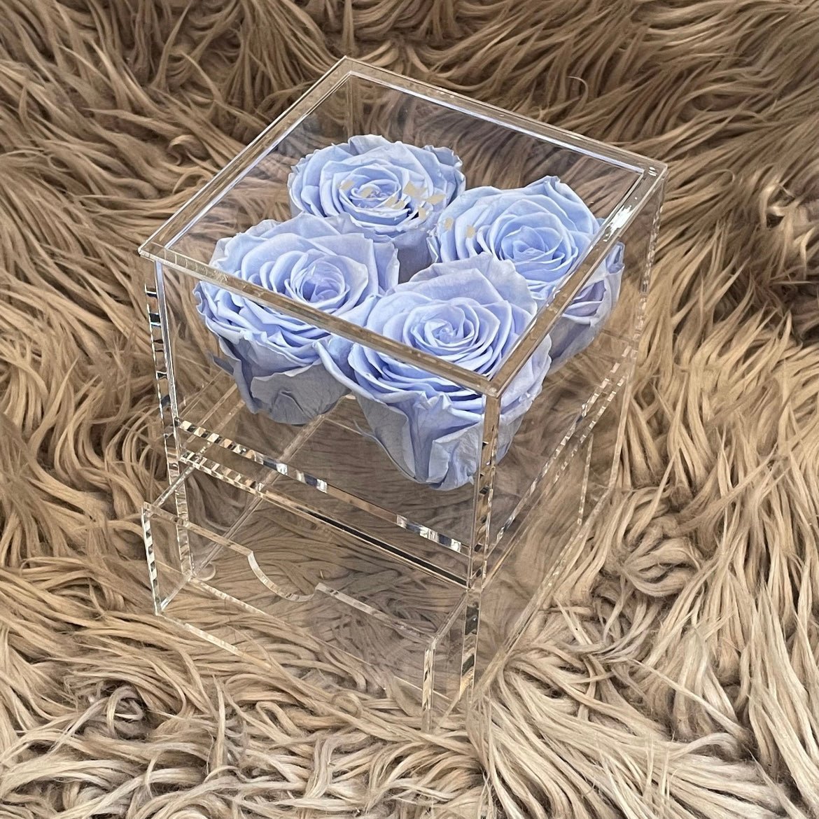 The Vanity Four - 4 Eternal Roses - Jednay Roses