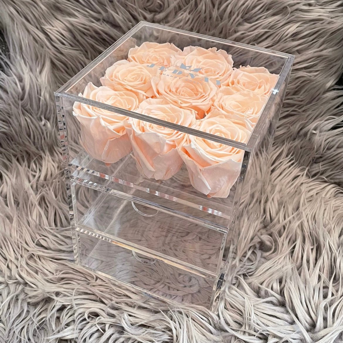 The Vanity Nine - 9 Eternal Roses - Jednay Roses