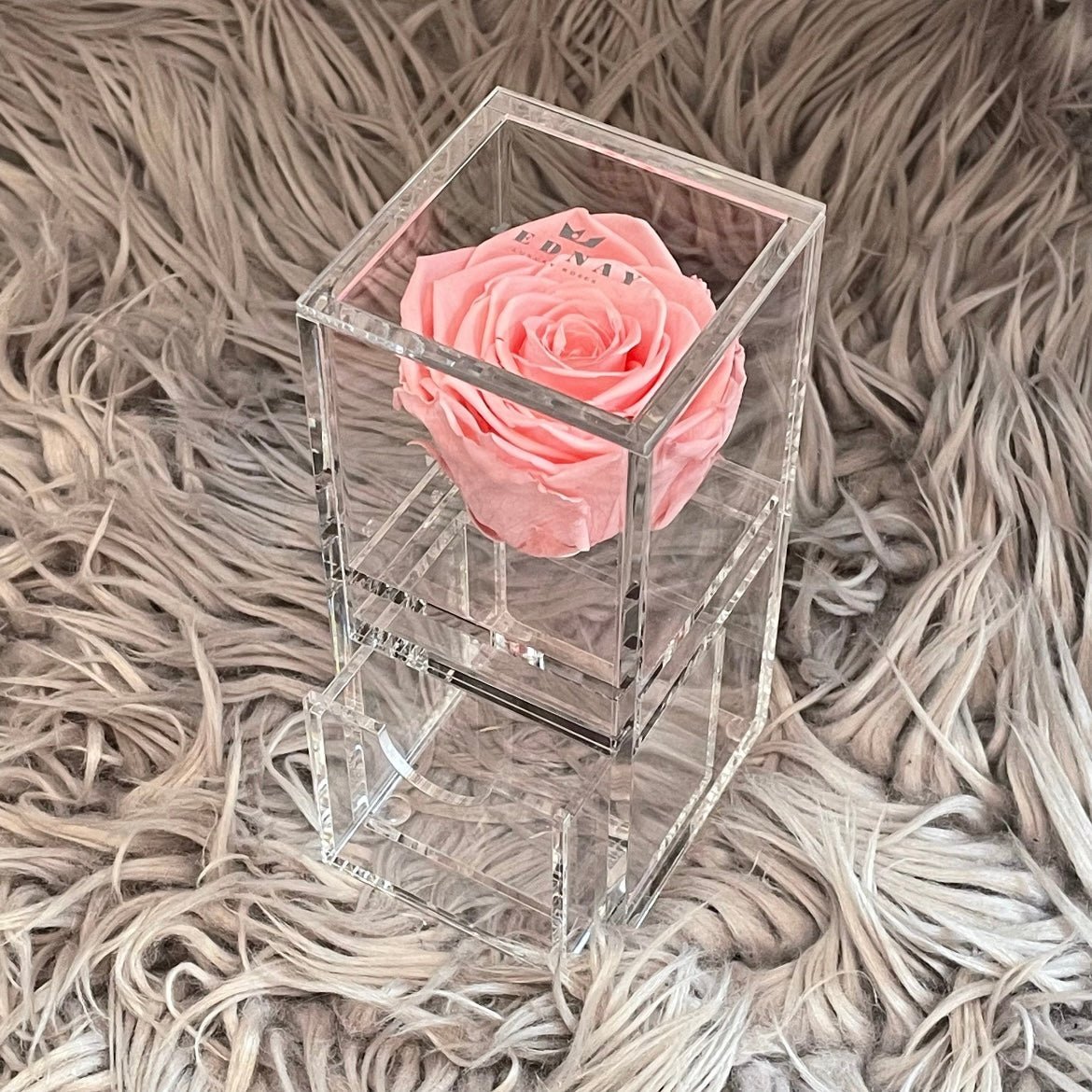 The Vanity One - Single Eternal Rose - Jednay Roses
