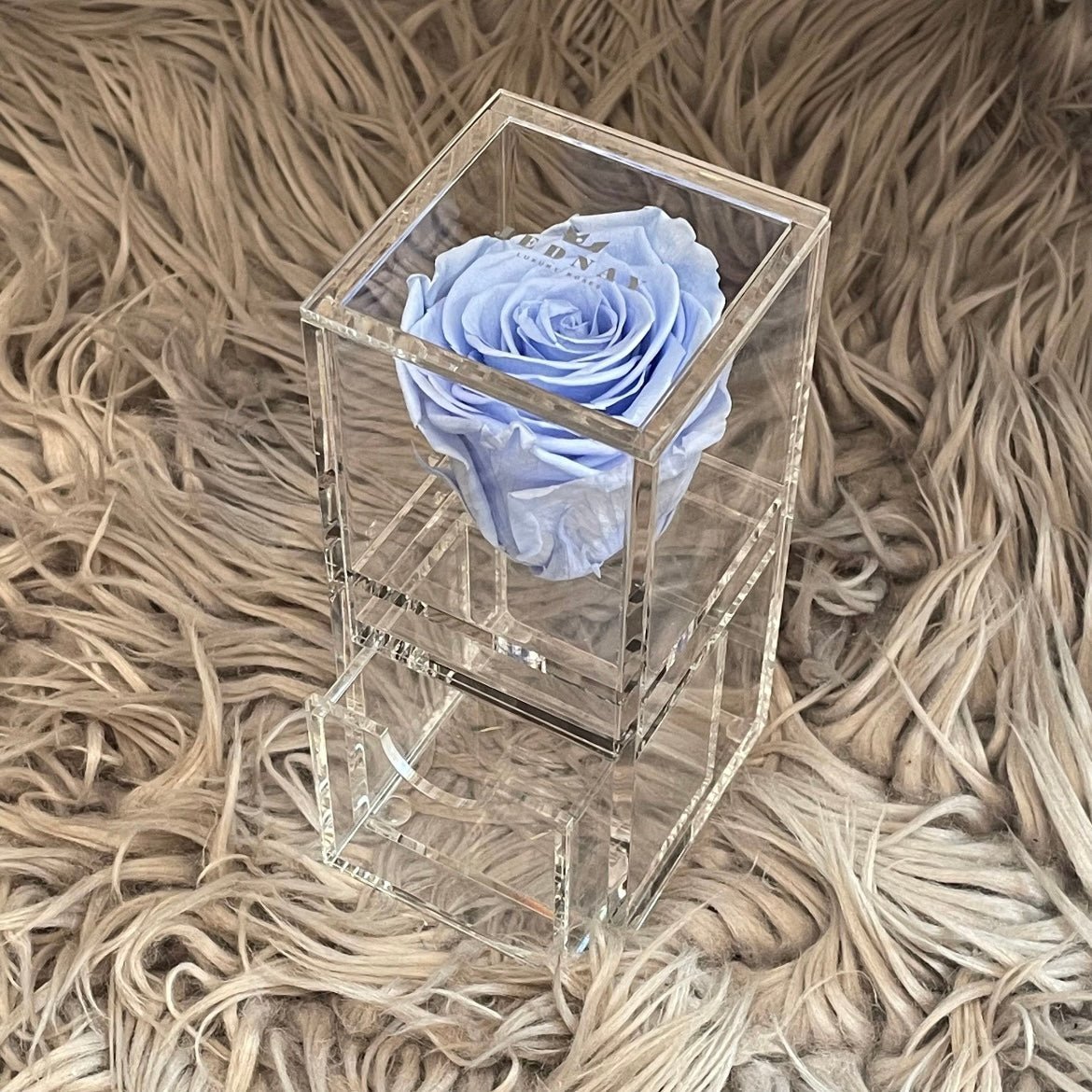 The Vanity One - Single Eternal Rose - Jednay Roses