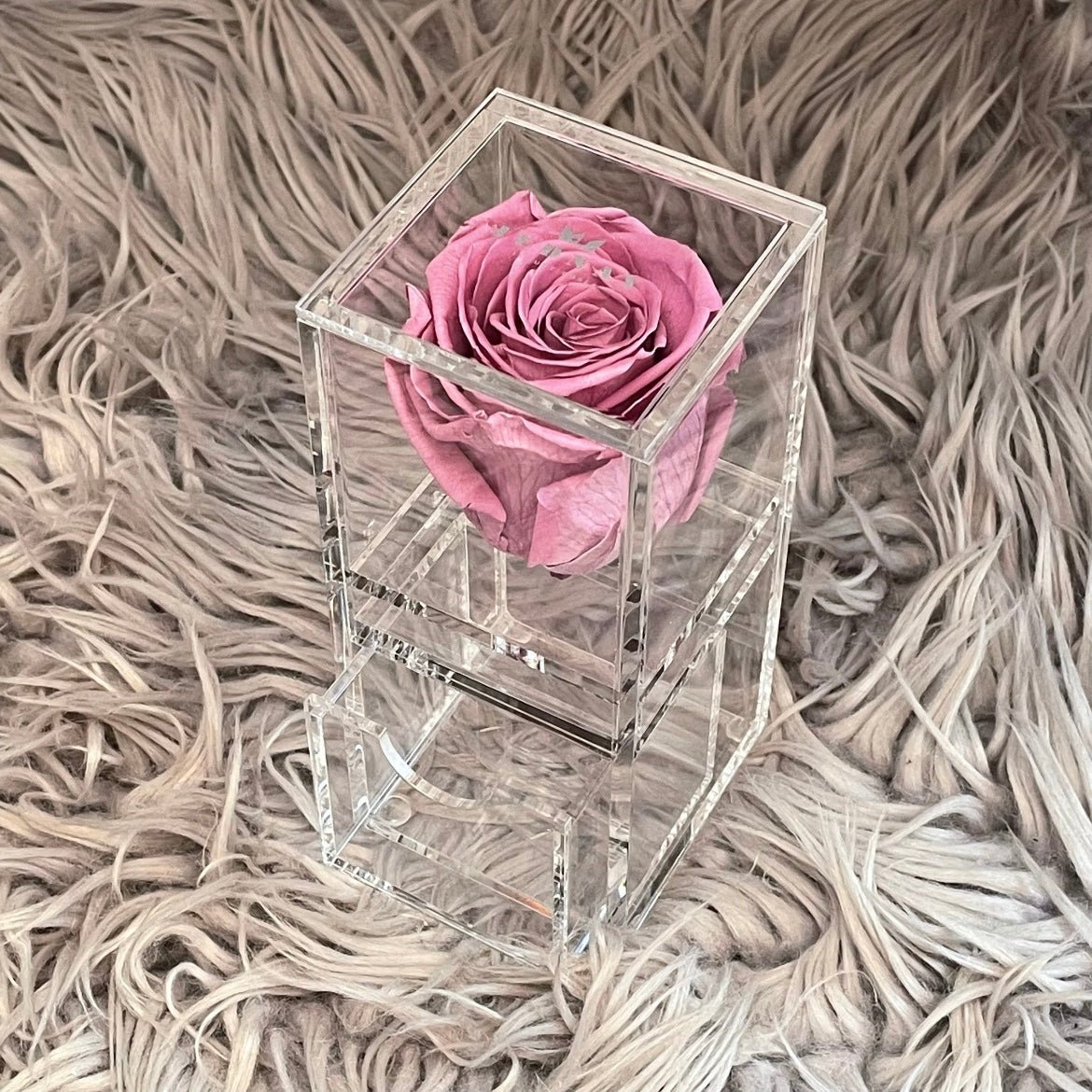 The Vanity One - Single Eternal Rose - Jednay Roses