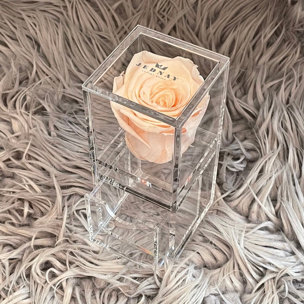 The Vanity One - Single Eternal Rose - Jednay Roses