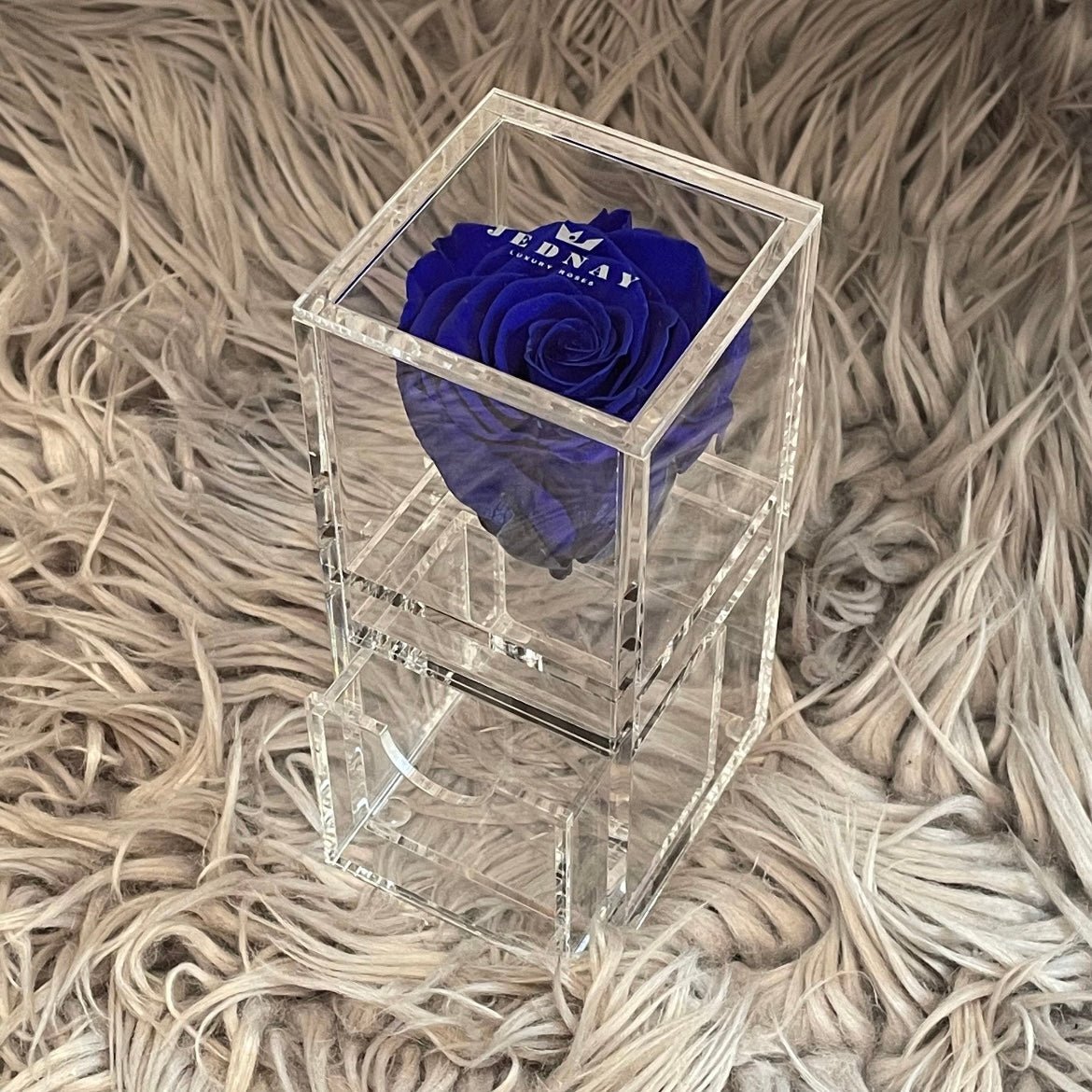The Vanity One - Single Eternal Rose - Jednay Roses