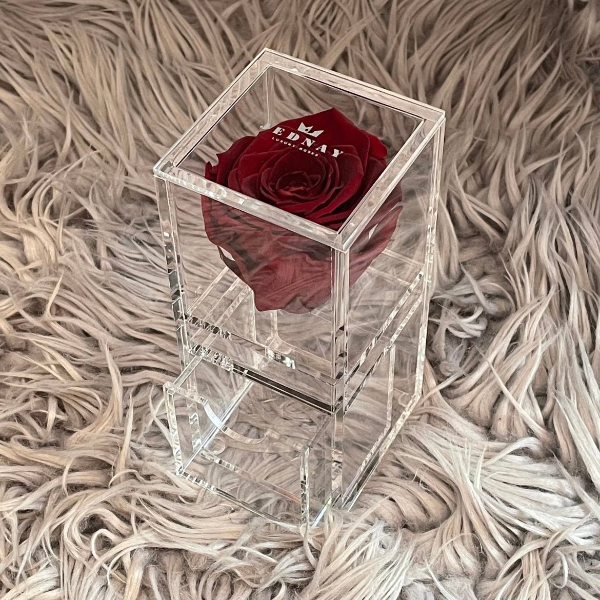 The Vanity One - Single Eternal Rose - Jednay Roses