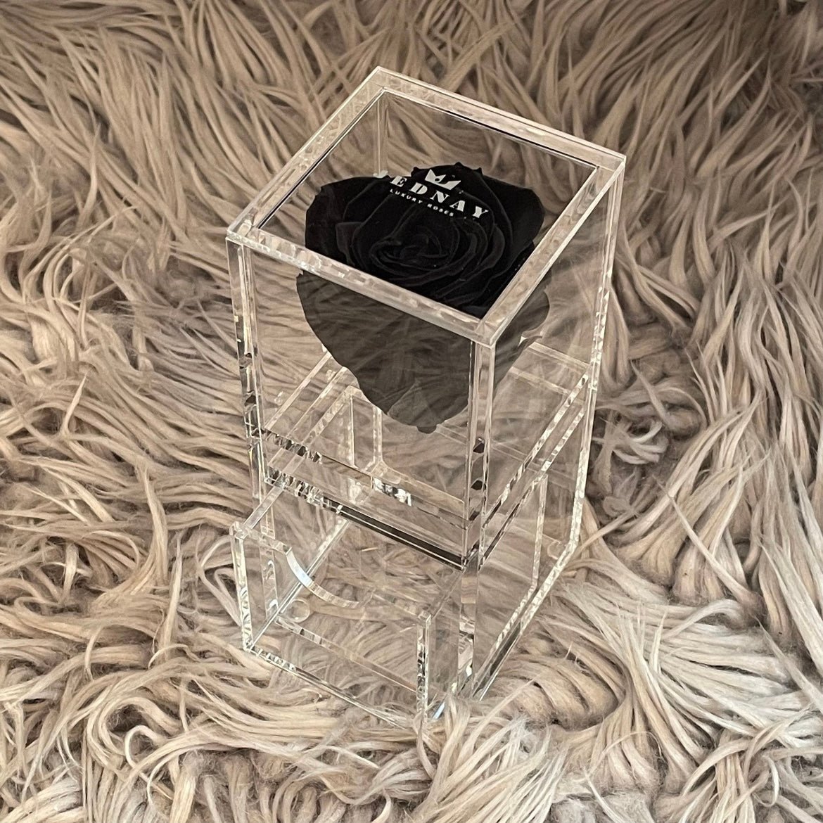 The Vanity One - Single Eternal Rose - Jednay Roses