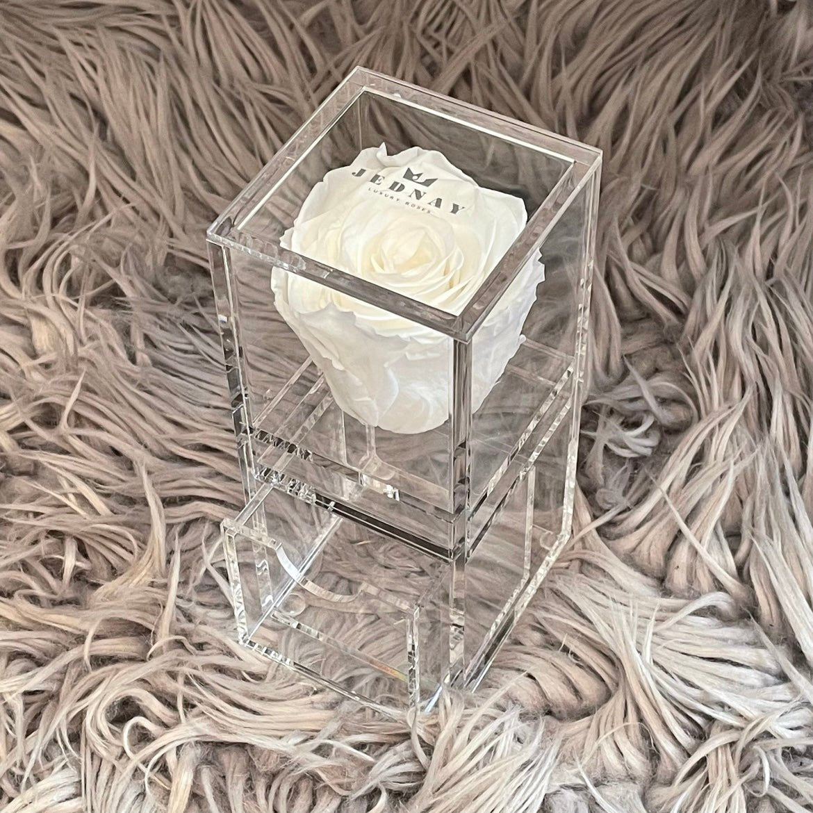The Vanity One - Single Eternal Rose - Jednay Roses