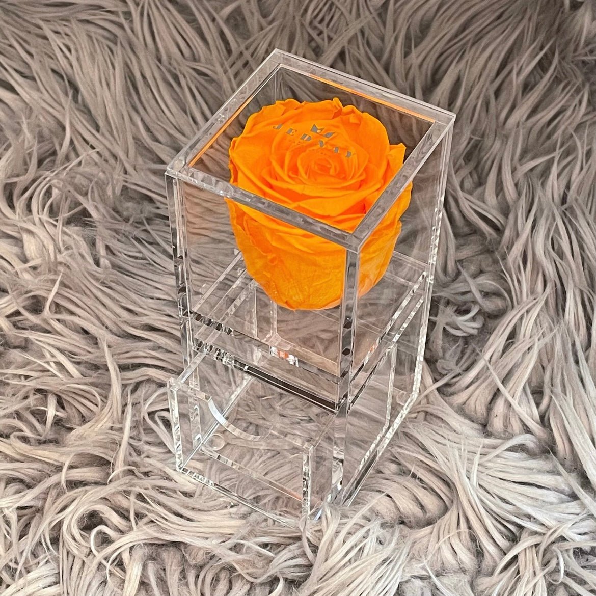 The Vanity One - Single Eternal Rose - Jednay Roses