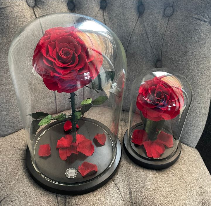 Top Romantic Gifts This Christmas - Jednay Roses