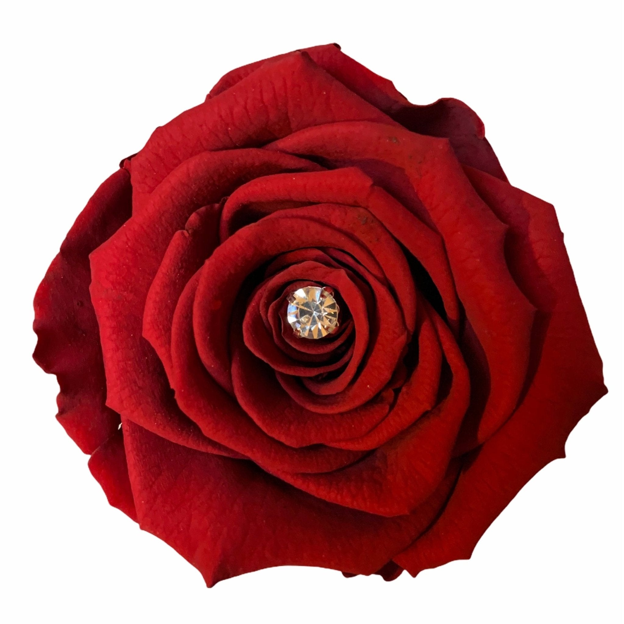What Makes Red Roses So Romantic? - Jednay Roses