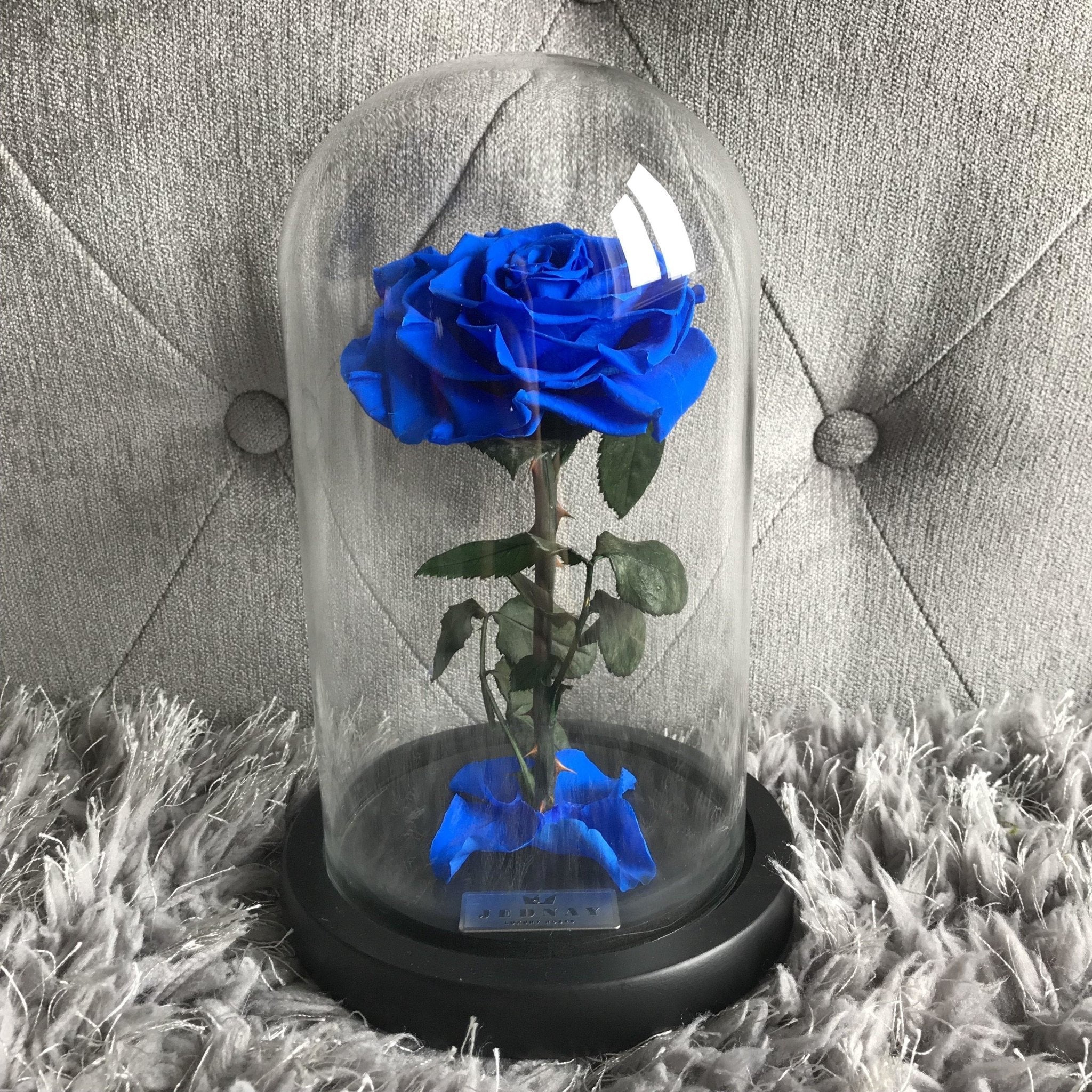 Why Making Blue Roses Is So Hard - Jednay Roses