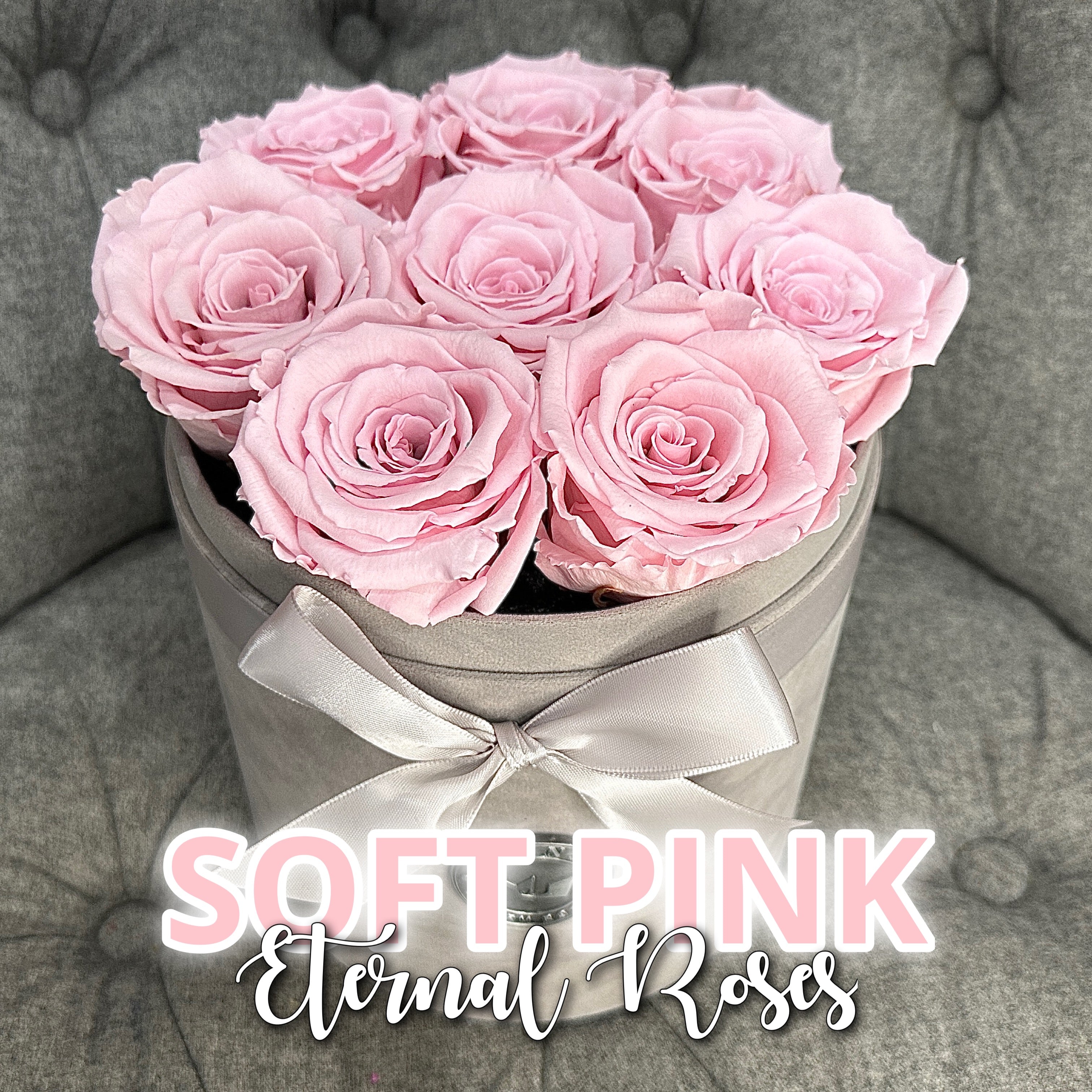 SOFT PINK ROSES