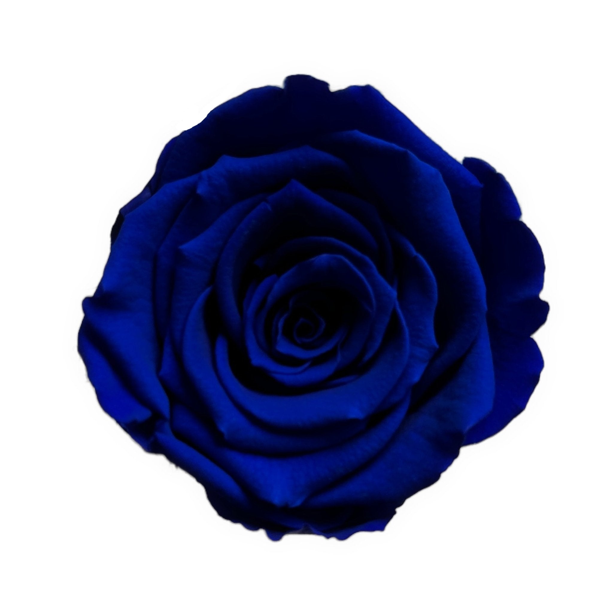 BLUE ETERNAL ROSES
