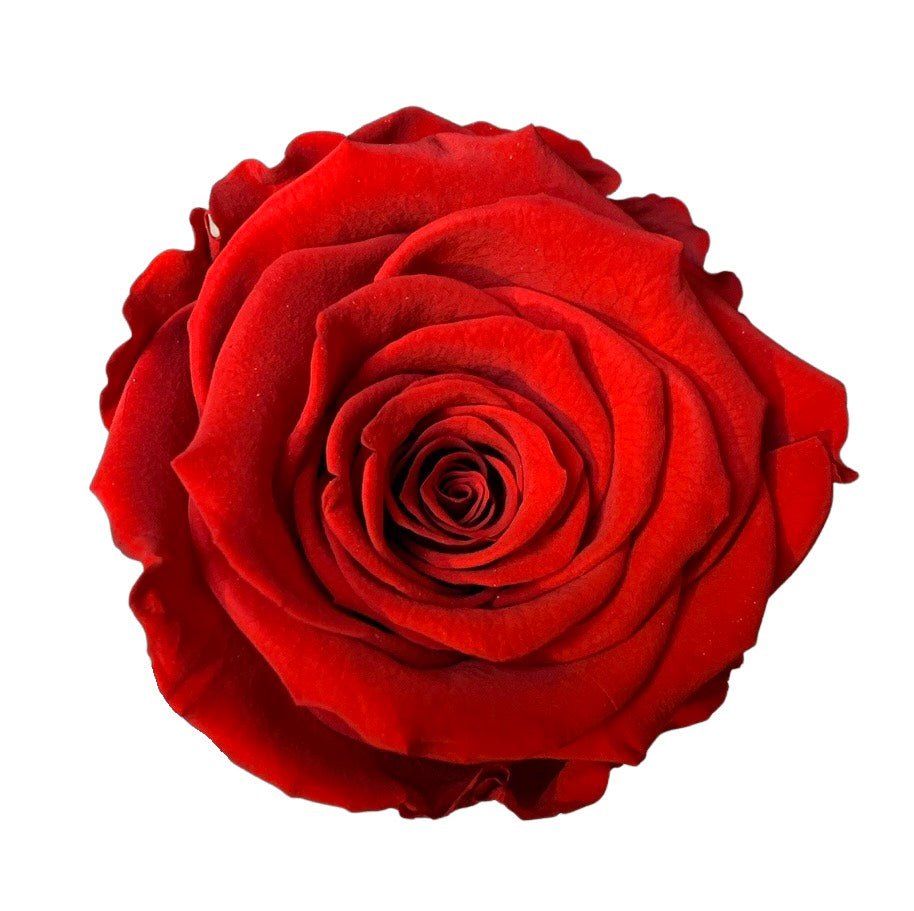 RED ETERNAL ROSES