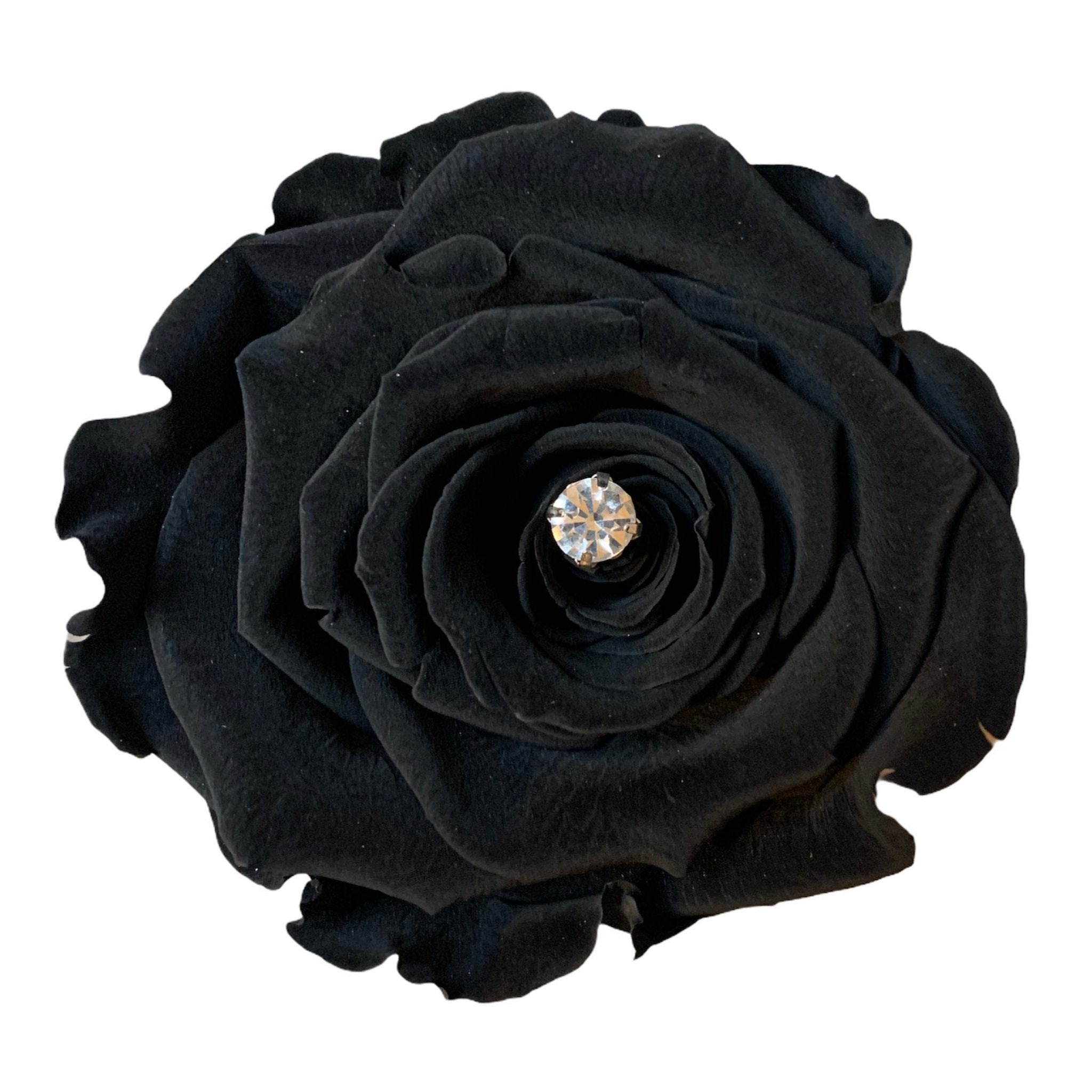 MIDNIGHT BLACK ETERNAL ROSES - Jednay Roses