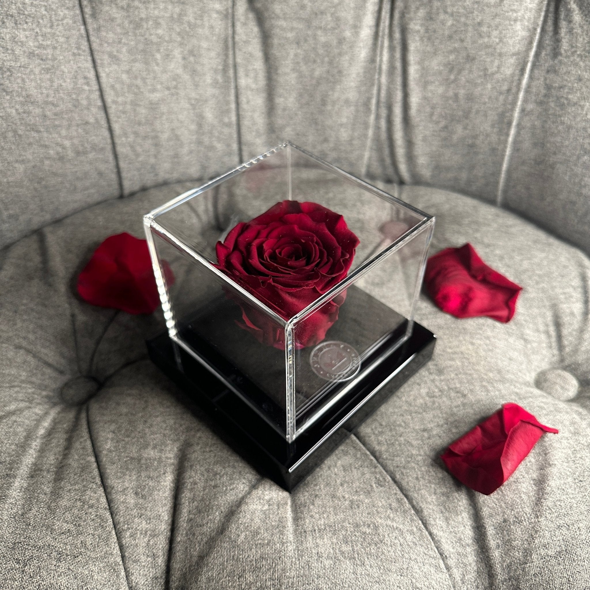 THE CLARITY DELUXE BY JEDNAY - Jednay Roses