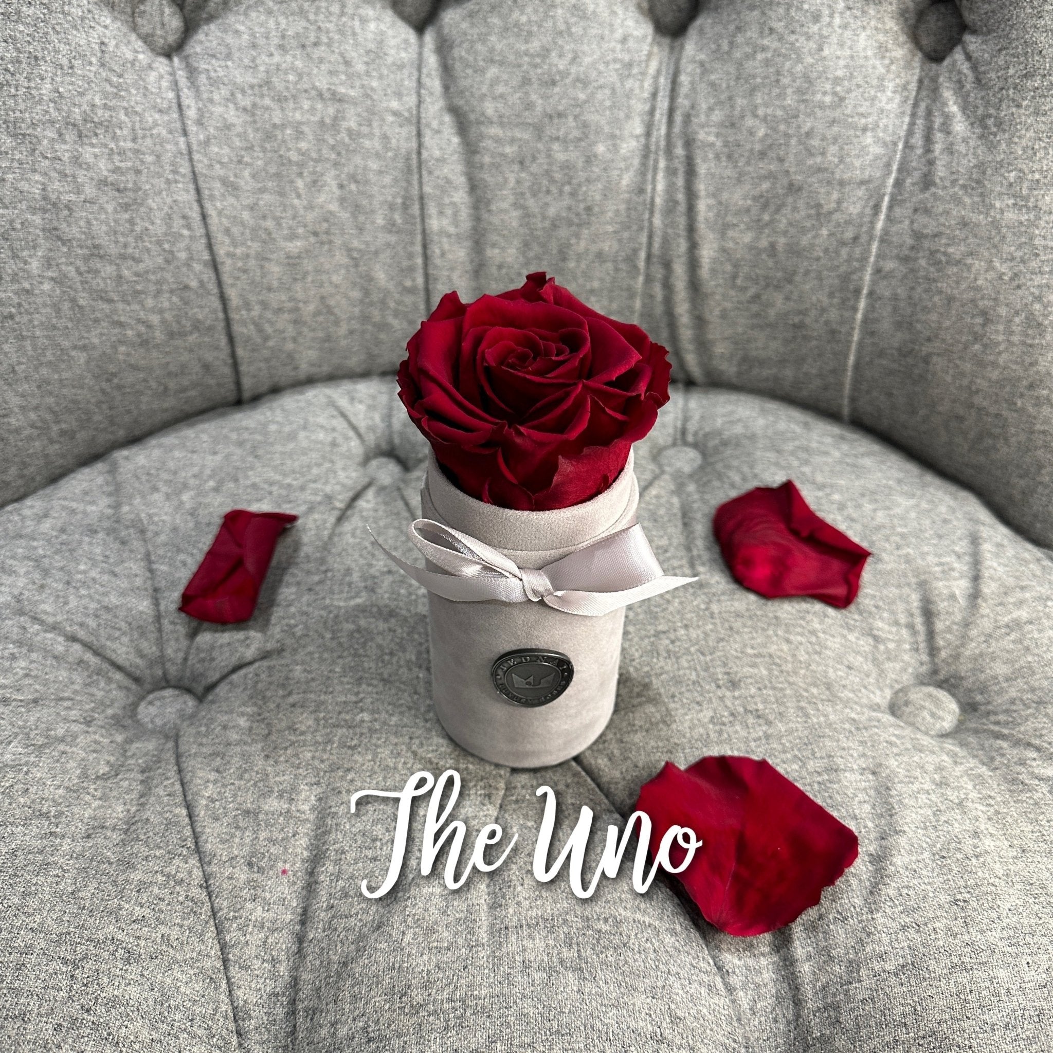 THE UNO BY JEDNAY - Jednay Roses
