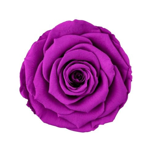 Single Classic White Forever Rose Box - Purple Rain Eternal Rose - Jednay Roses