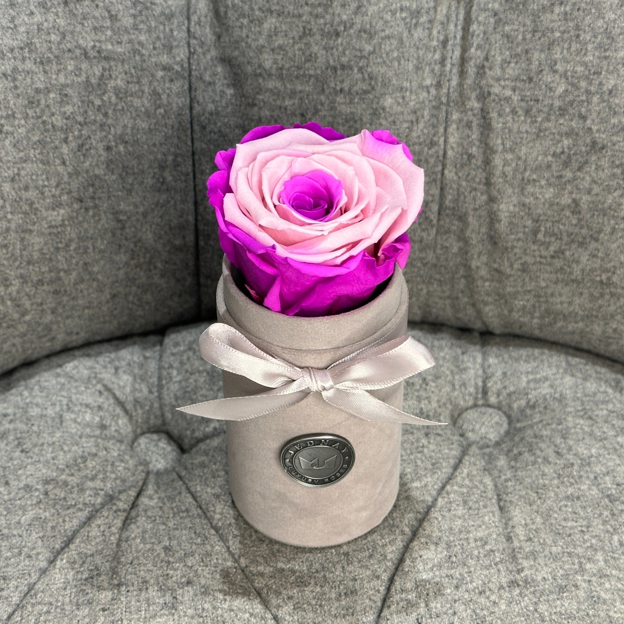 Single Grey Suede Forever Rose Box - Candy Floss Eternal Rose - Jednay Roses