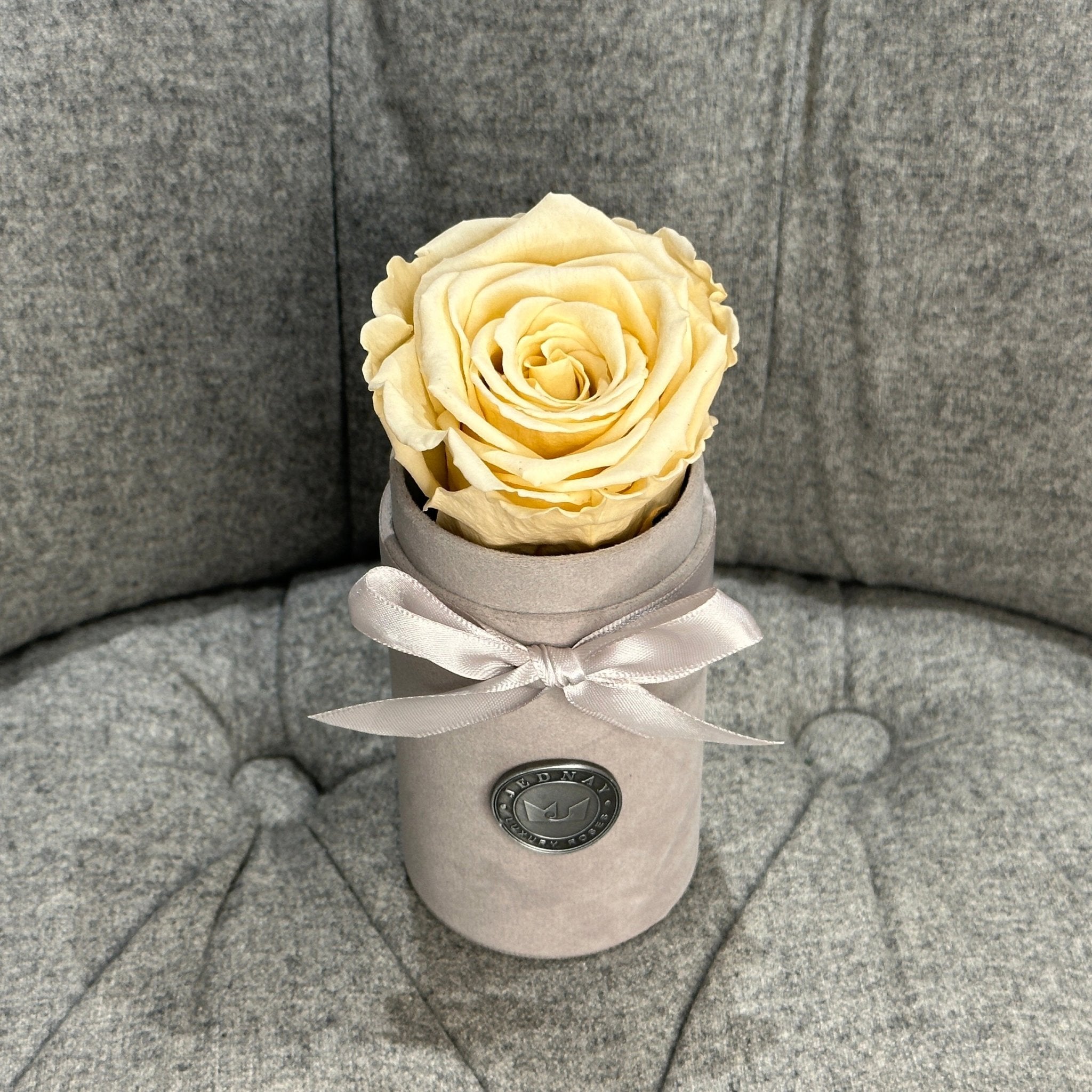 Single Grey Suede Forever Rose Box - Champagne Eternal Rose - Jednay Roses