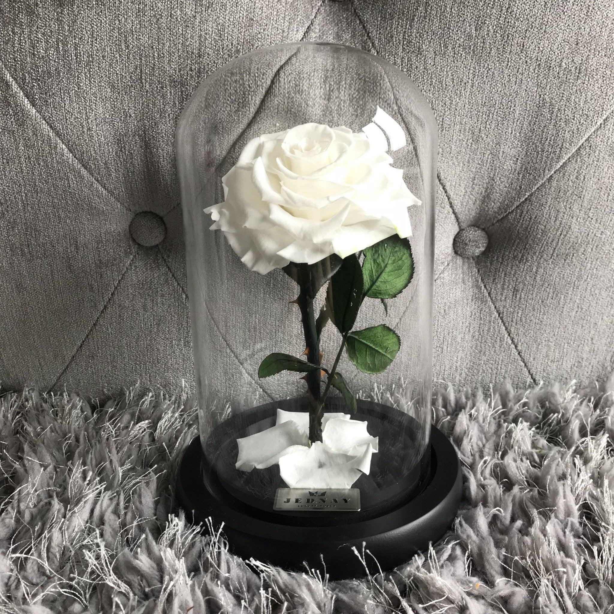 The Belle by Jednay® Angel White Infinity Rose - Jednay Roses