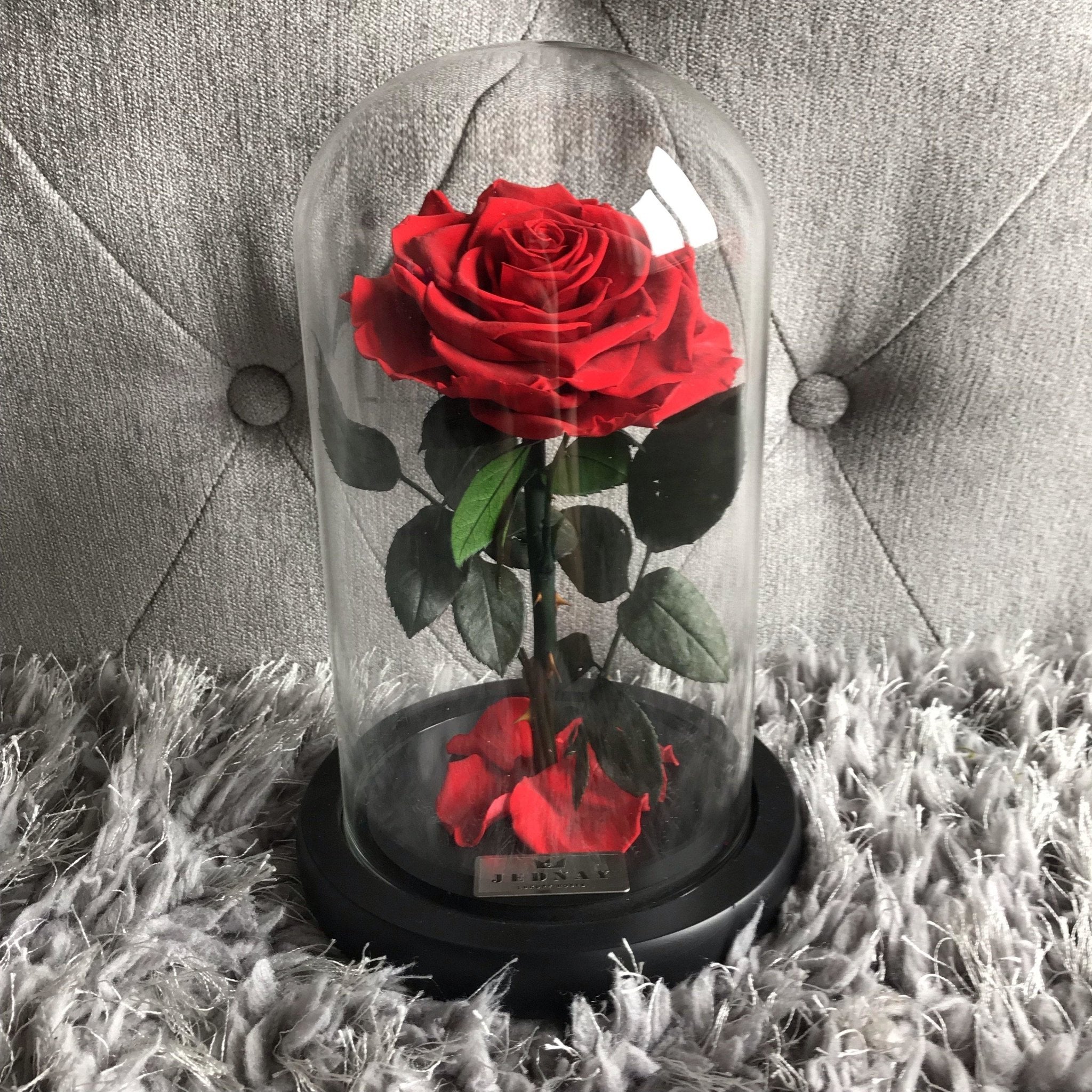 The Belle by Jednay® Classic Red Infinity Rose - Jednay Roses