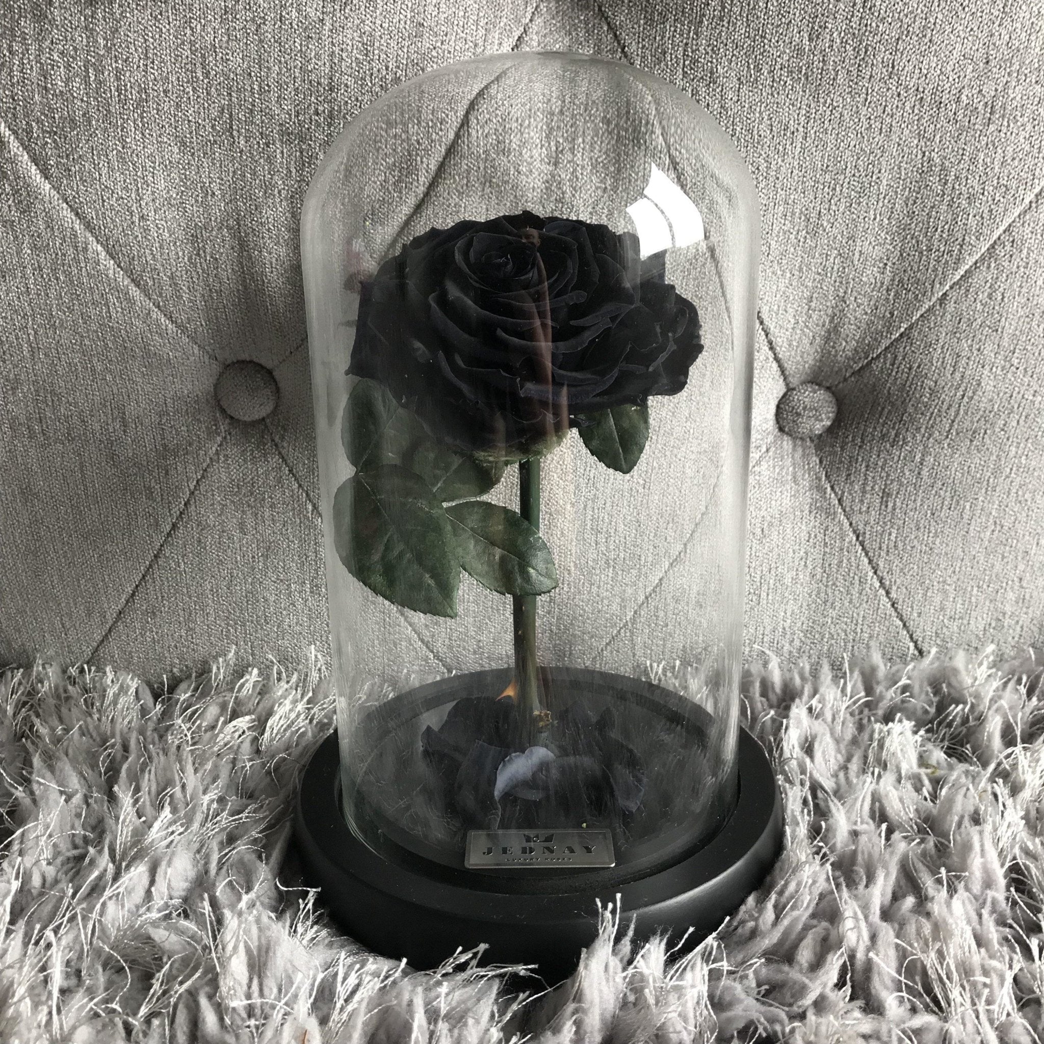 The Belle by Jednay® Midnight Black Infinity Rose - Jednay Roses
