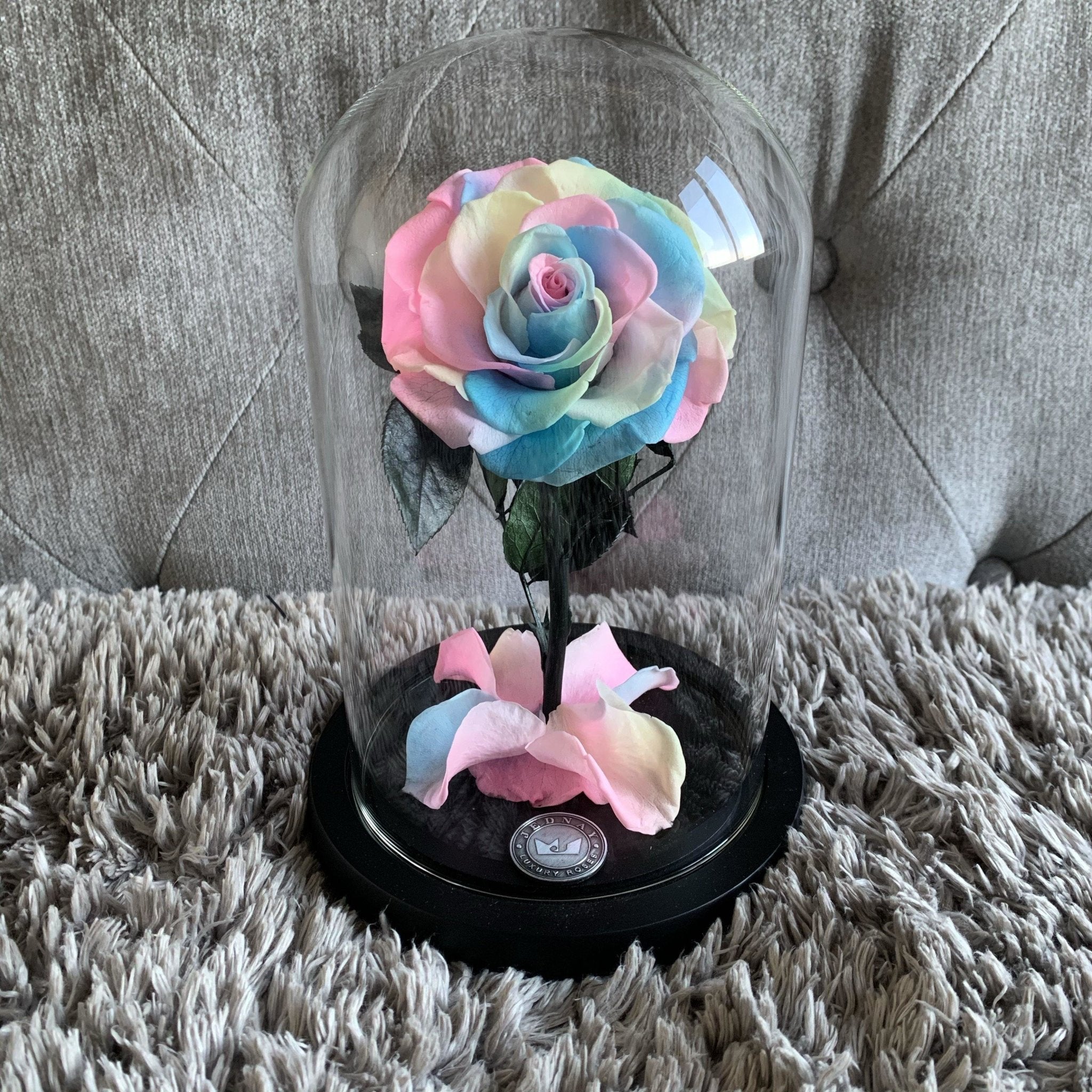 The Belle by Jednay® Over The Rainbow Infinity Rose - Jednay Roses