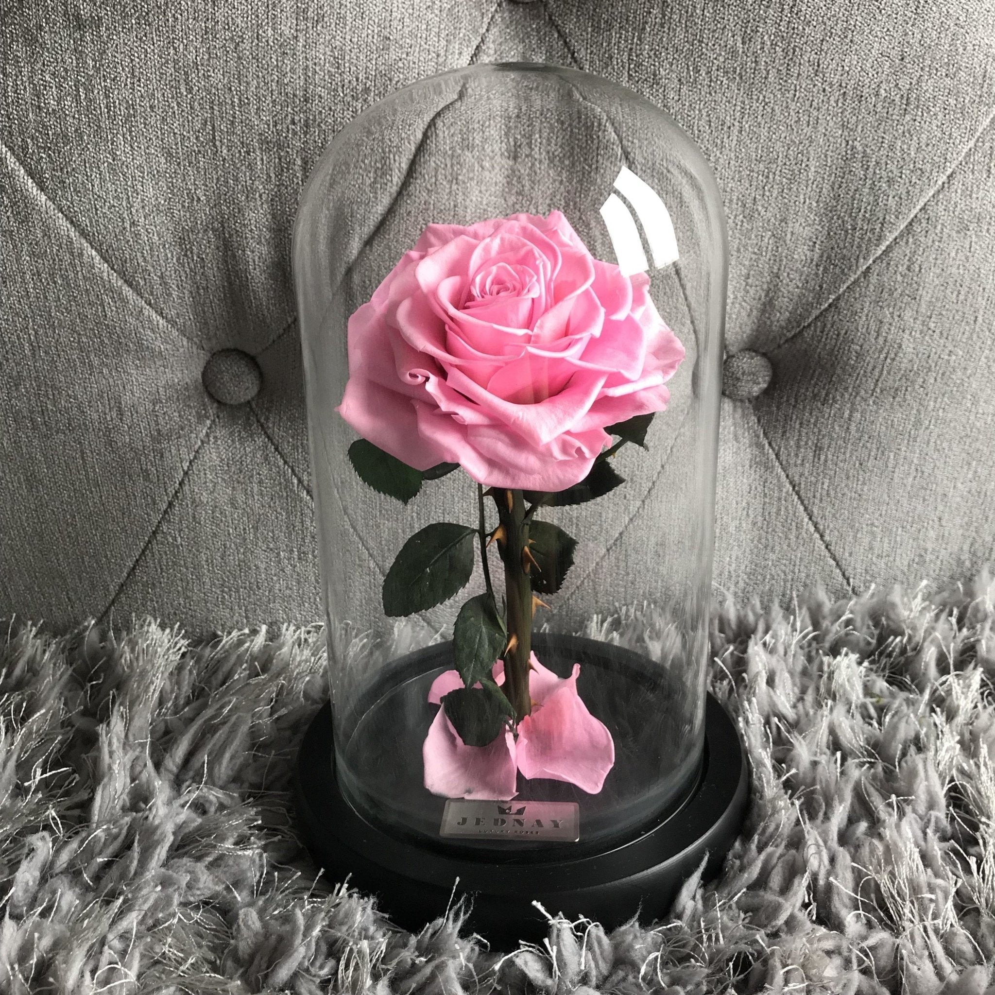 The Belle by Jednay® Soft Pink Infinity Rose - Jednay Roses
