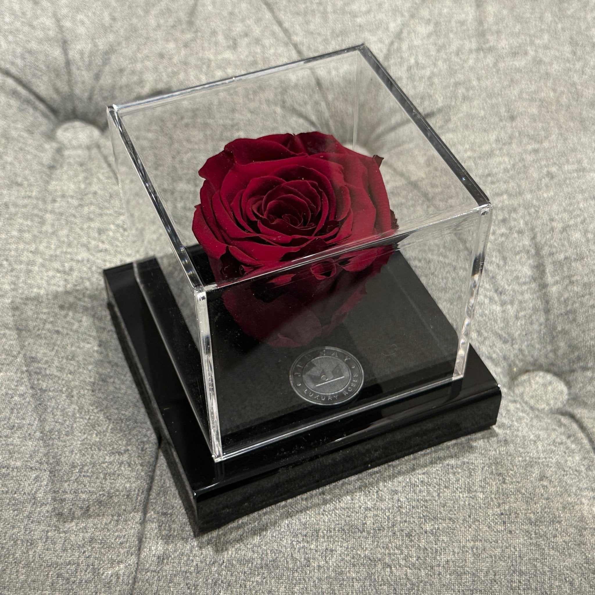 The Clarity Deluxe | Red Red Wine Eternal Rose - Jednay Roses