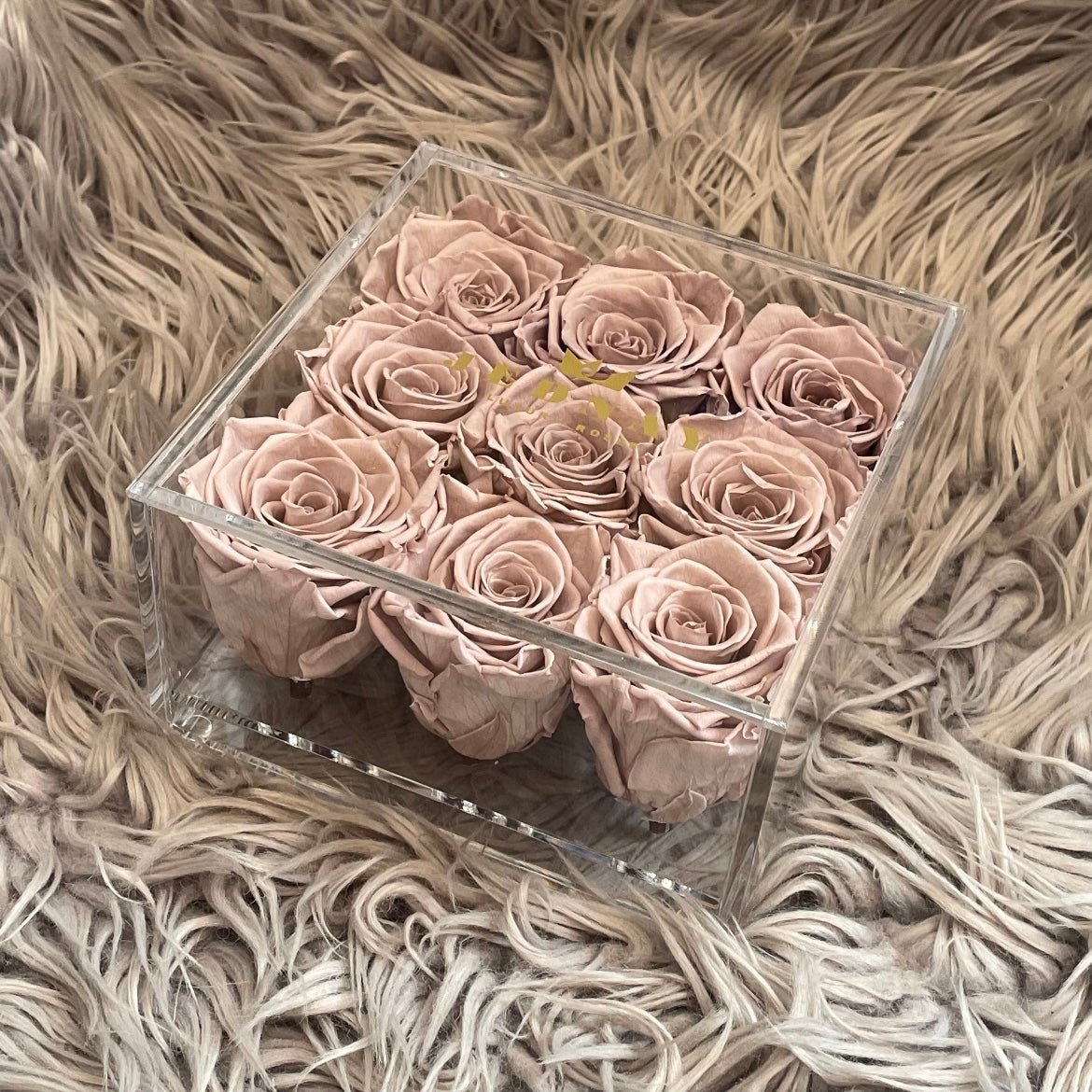 The Clarity Nine - 9 Eternal Roses - Jednay Roses