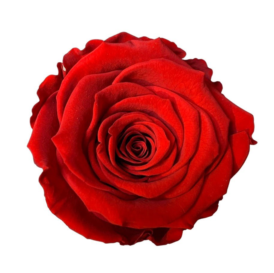 The Uno - Classic Red Eternal Rose - Classic White Box - Jednay Roses