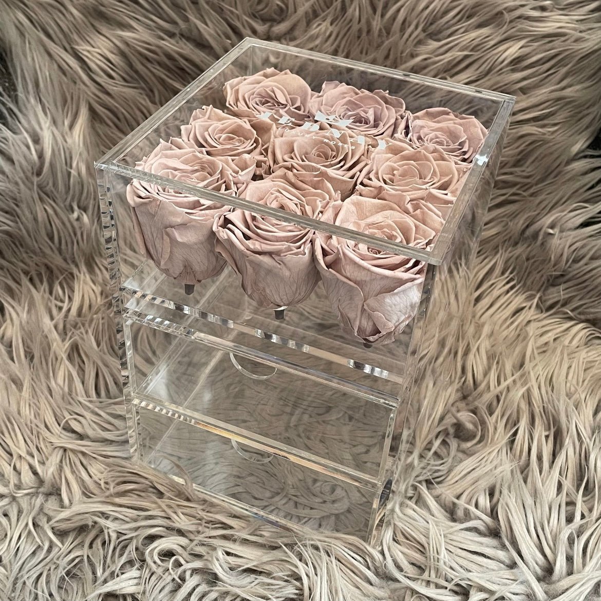 The Vanity Nine - 9 Eternal Roses - Jednay Roses