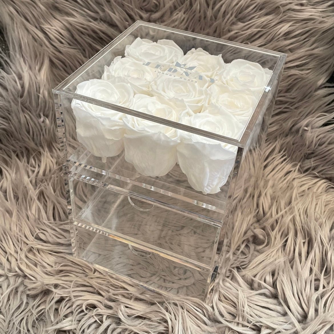 The Vanity Nine - 9 Eternal Roses - Jednay Roses