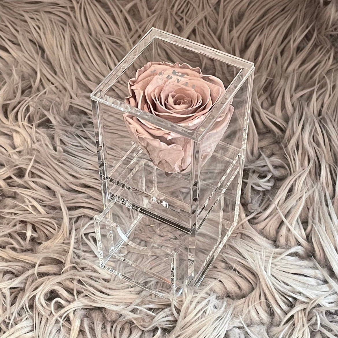 The Vanity One - Single Eternal Rose - Jednay Roses