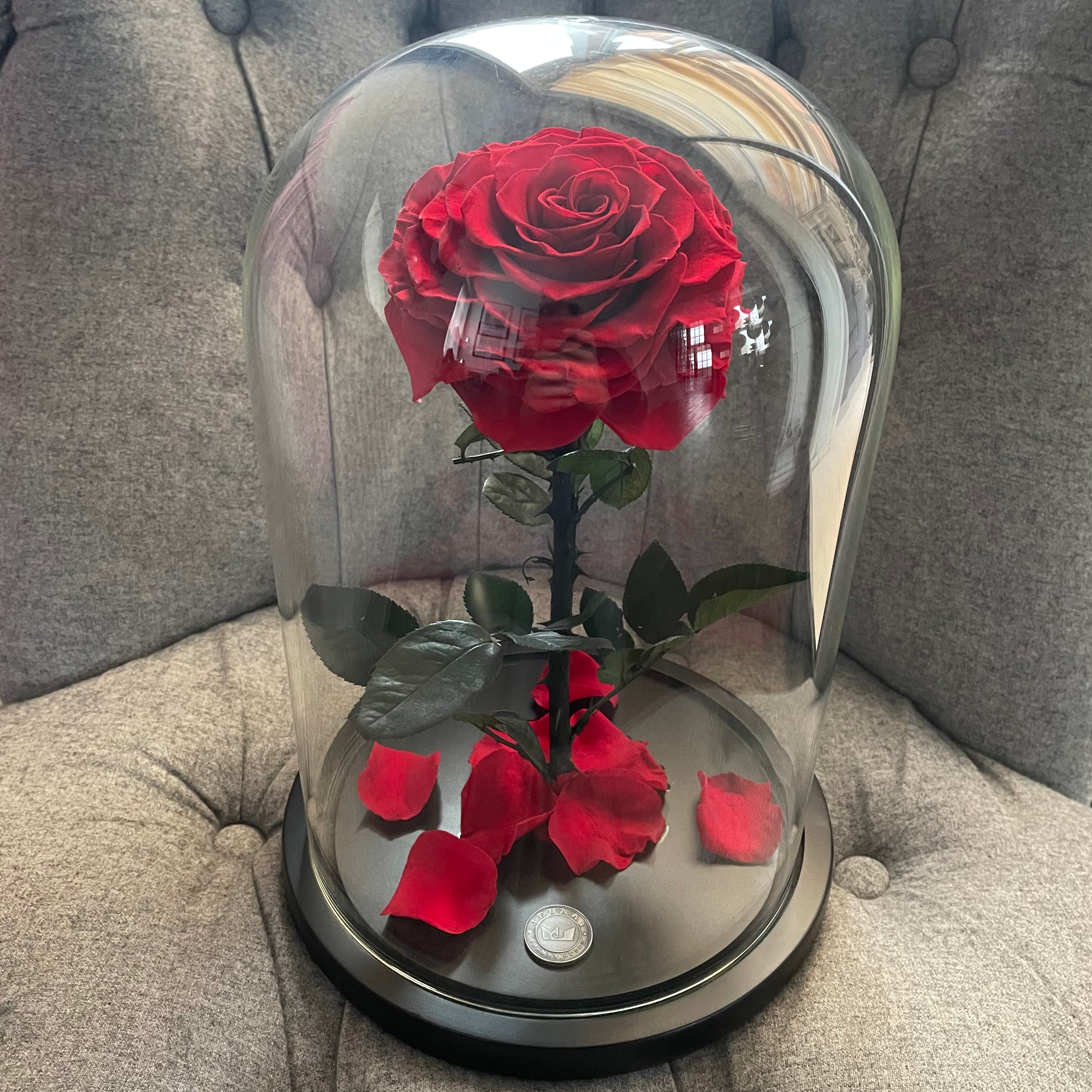 The Belle by Jednay® Red Forever Rose In Glass Dome