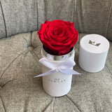 The Uno - Single Classic Red Forever Rose - Classic White Box