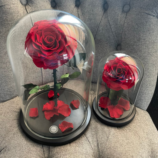 The Belle by Jednay® Supreme Edition Classic Red Infinity Rose