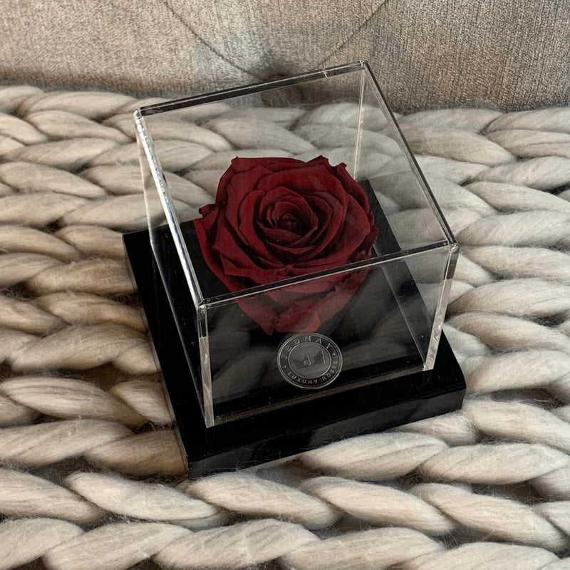 The Clarity Deluxe | Single Infinity Rose - Jednay Ltd